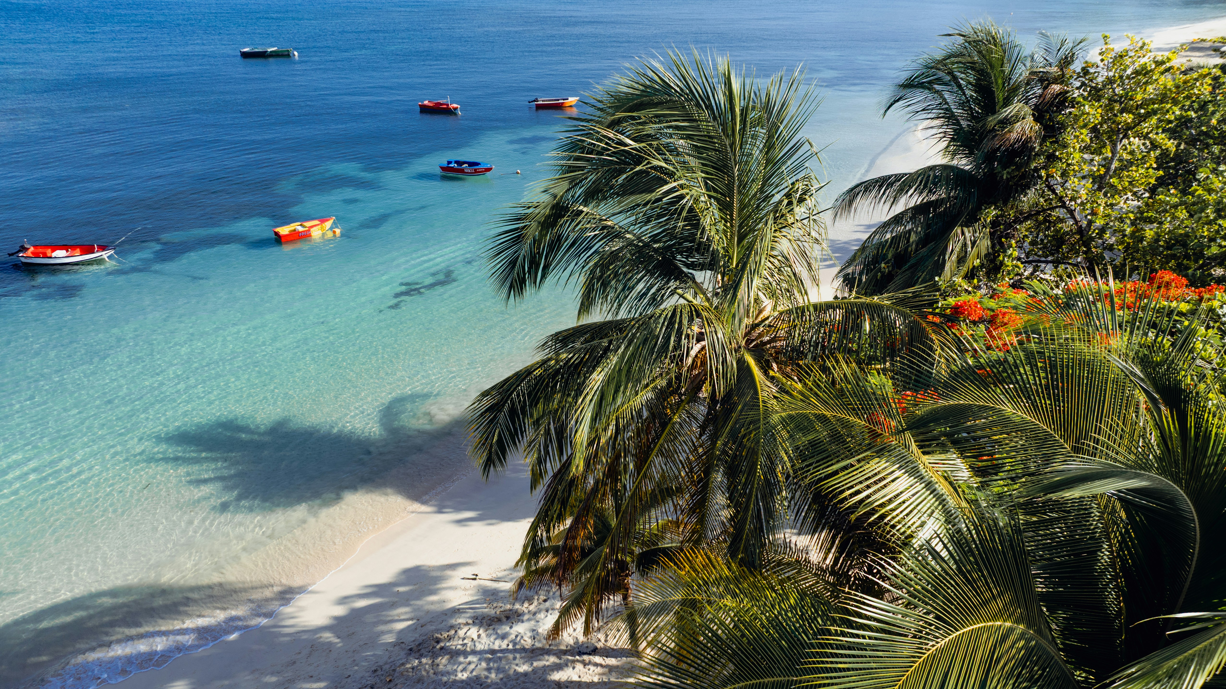 Plage tropicale avec des palmiers et une eau bleue claire