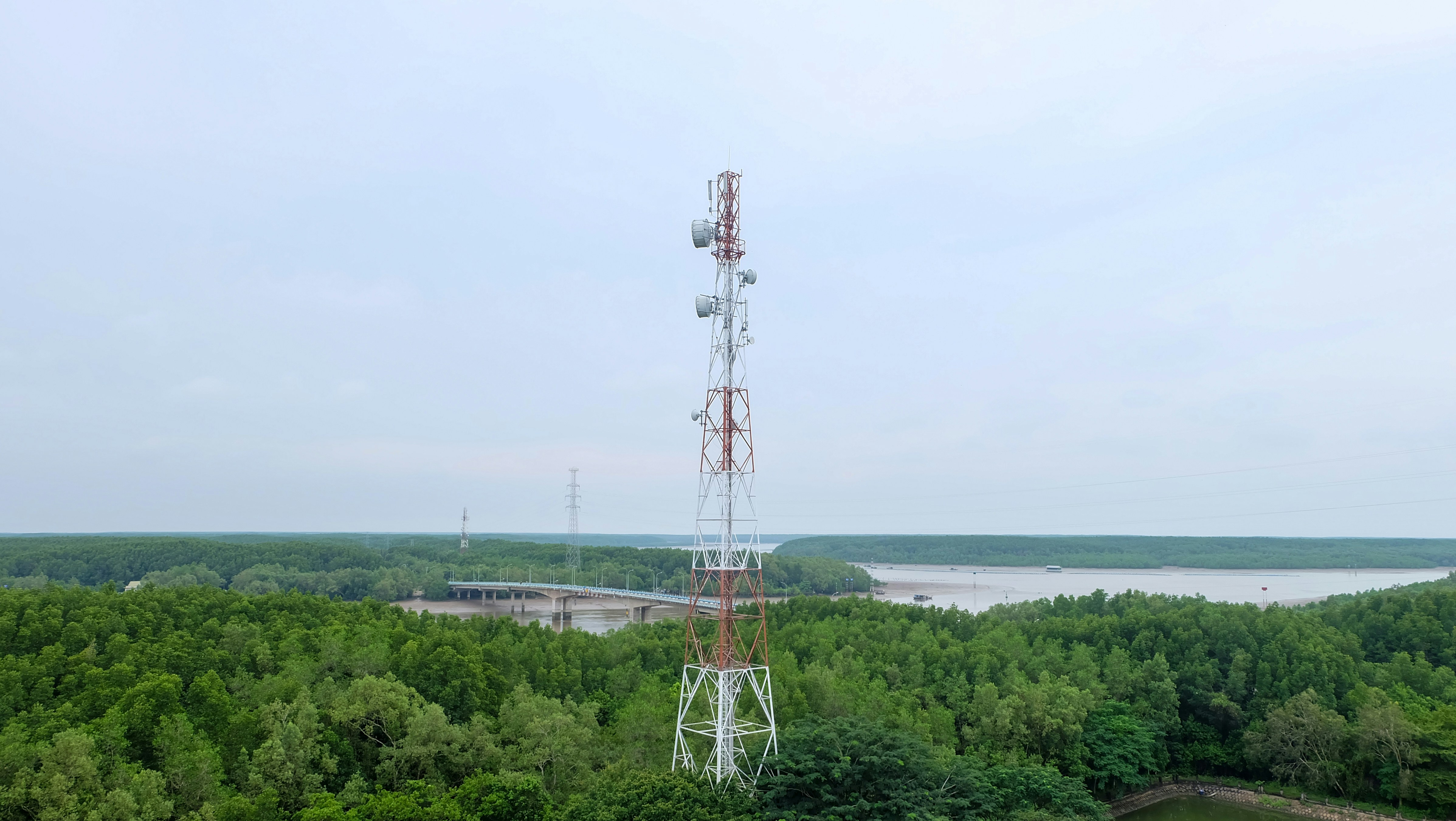 Tricapital Angels Backs UK Starlink Rival in Satellite Race