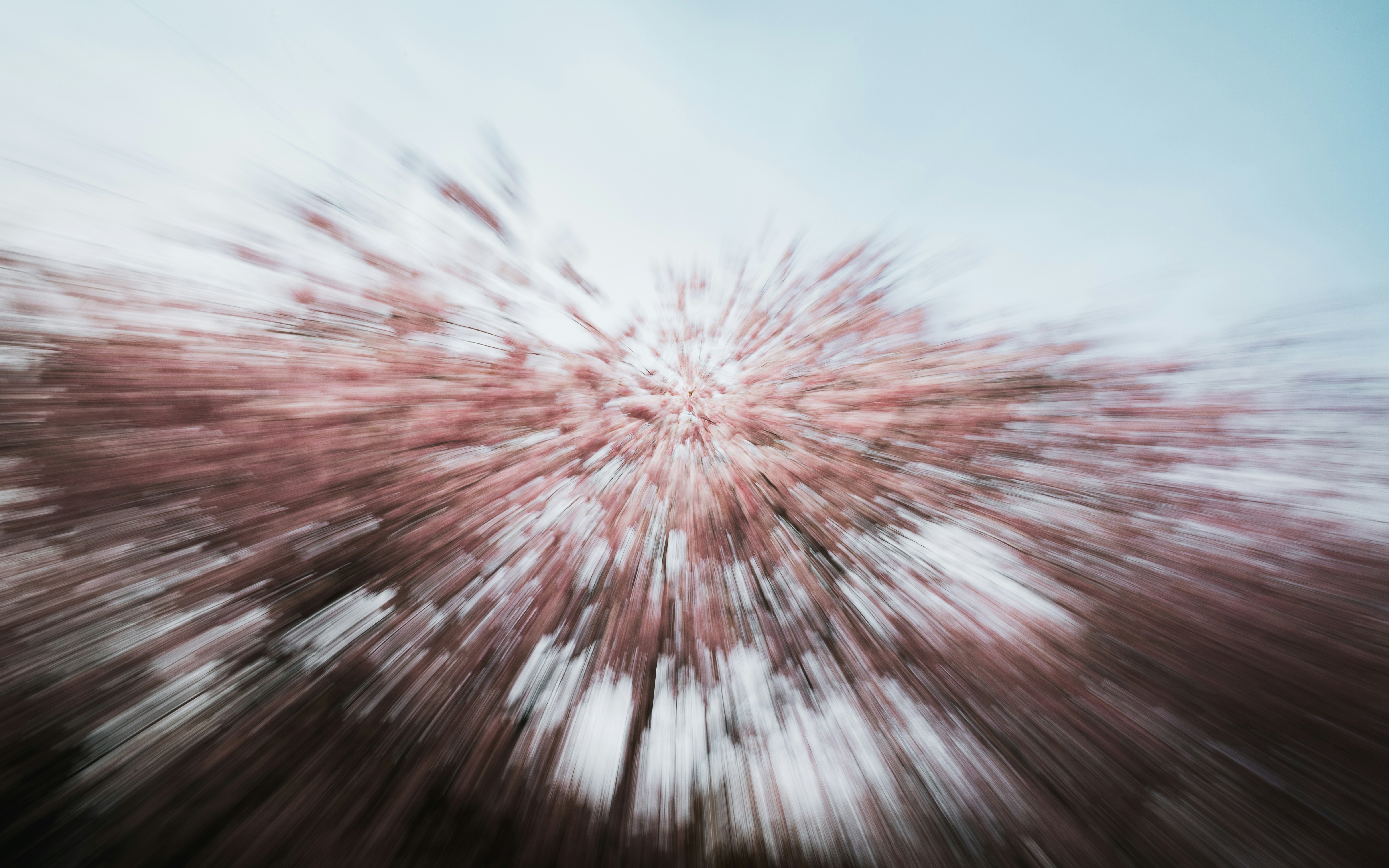 All Puppy Meals Are Not The Equal