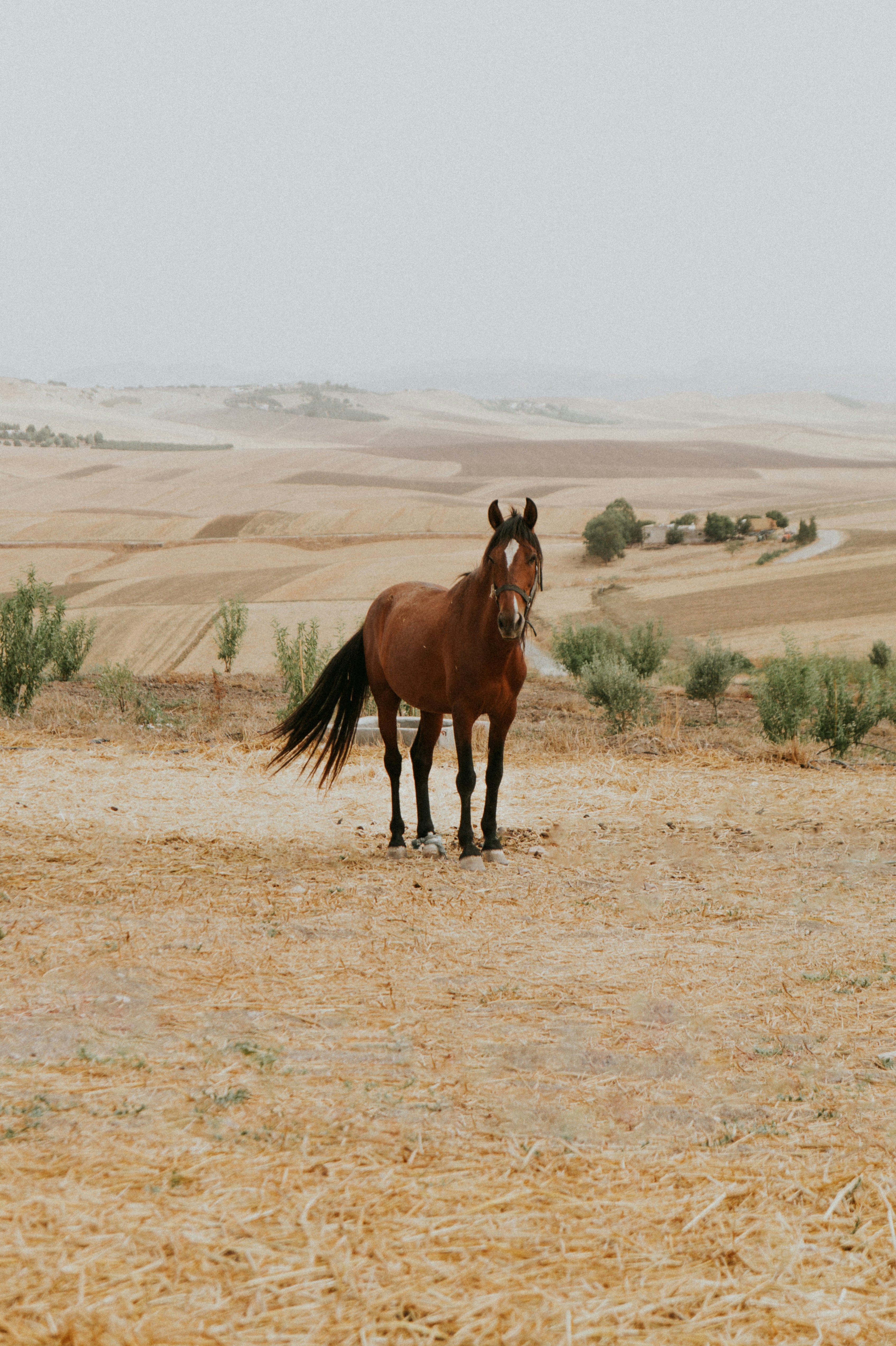 Photo by awebarouni