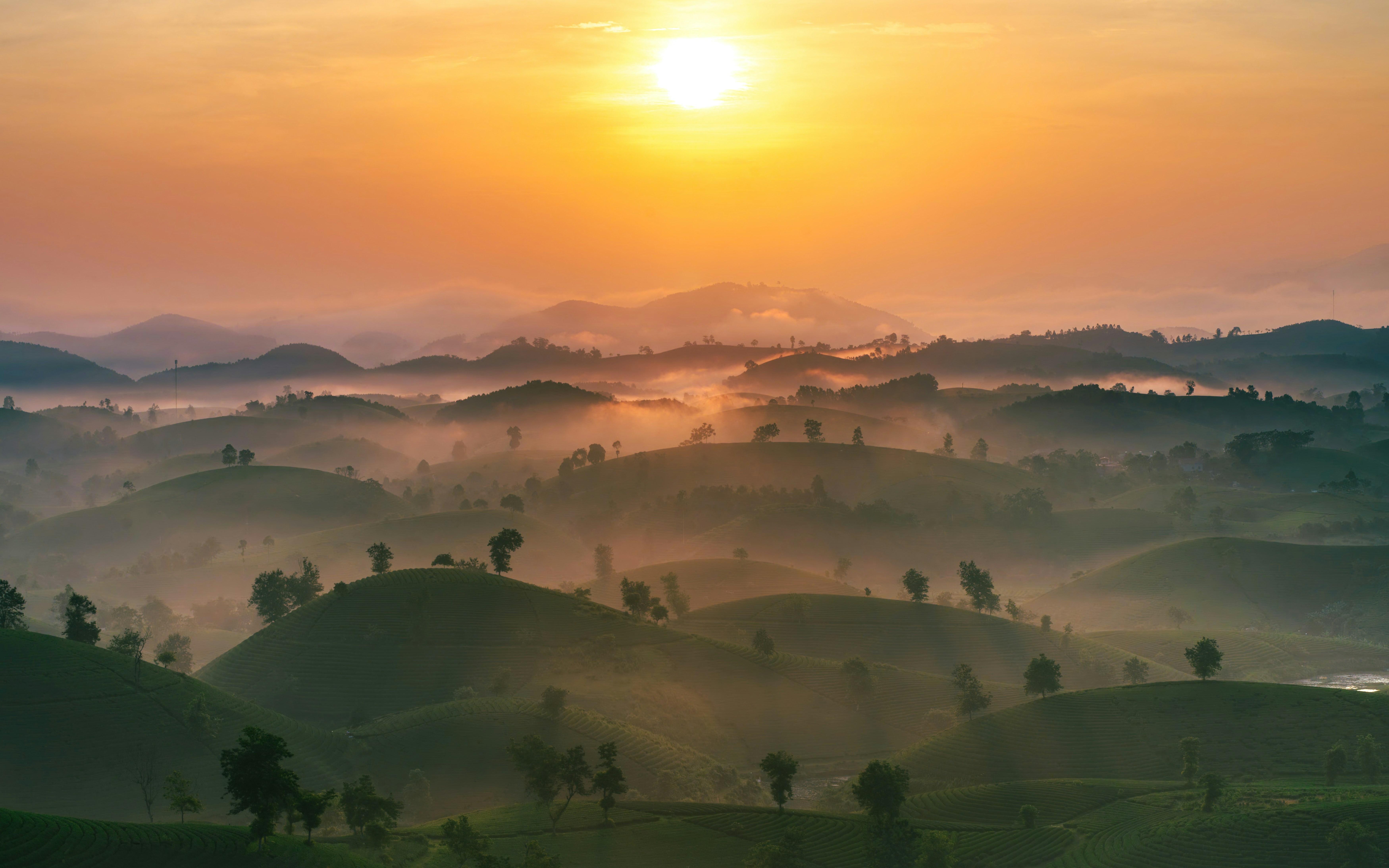 Photo by magicaleye7