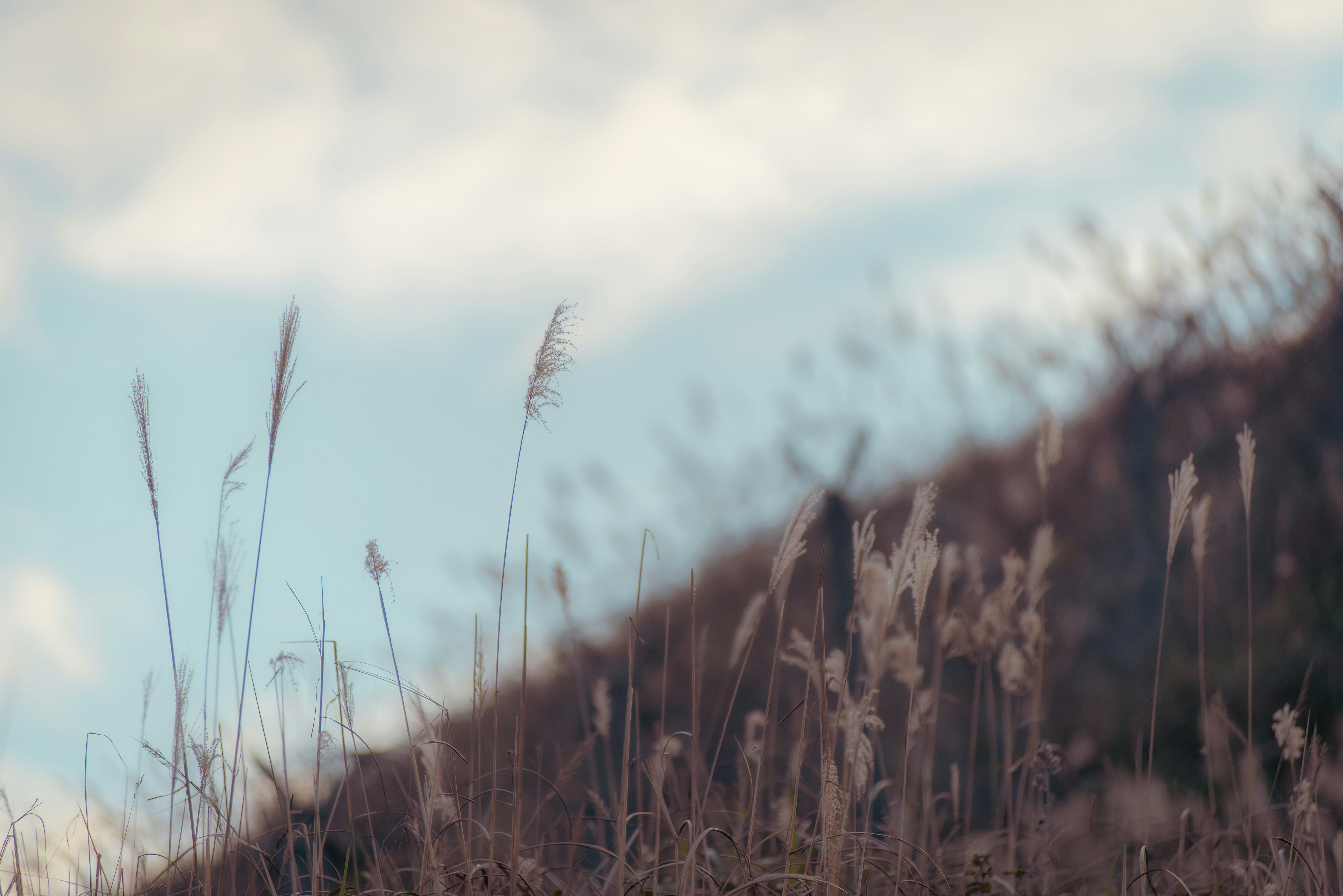 Photo by magicaleye7