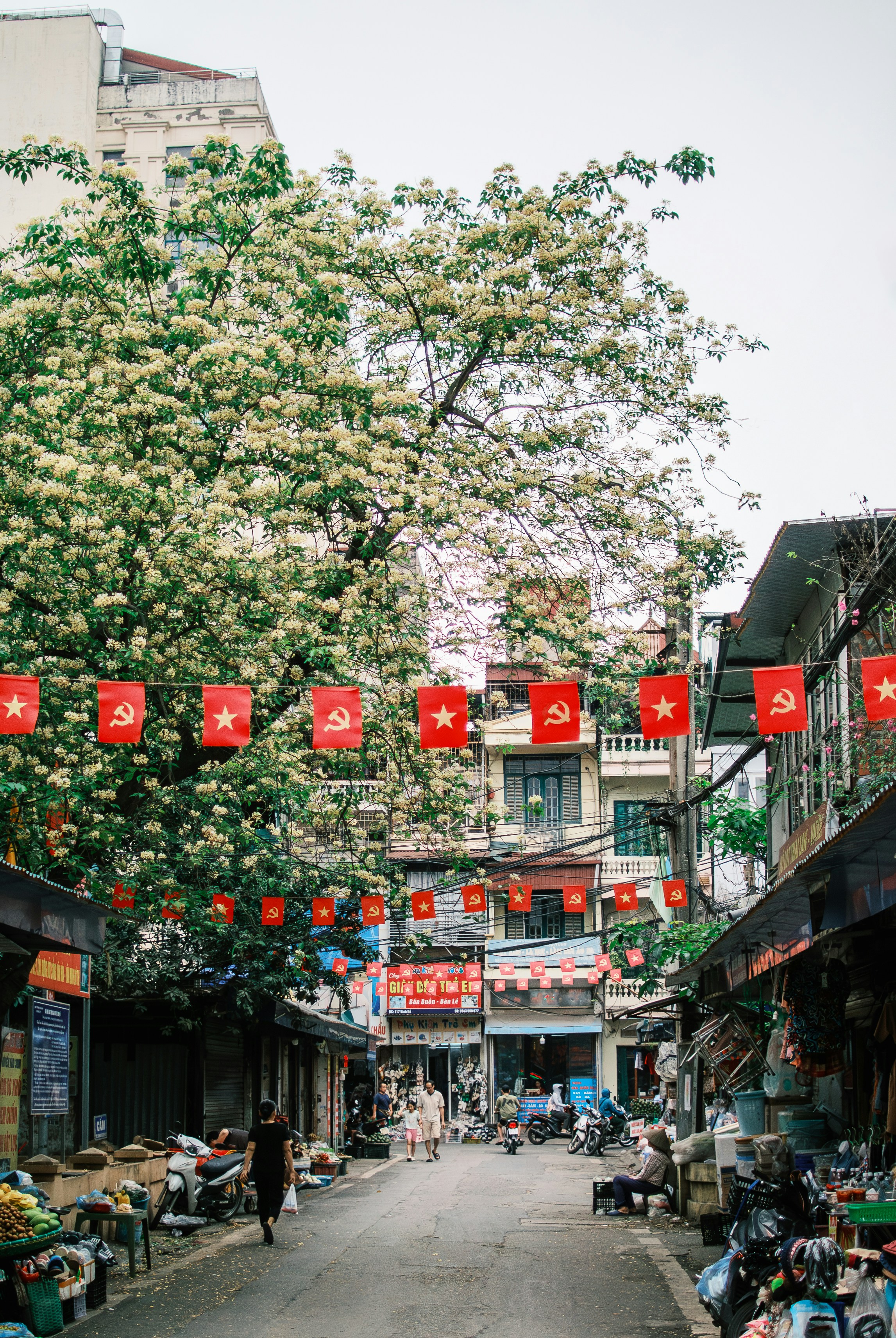 Photo by magicaleye7