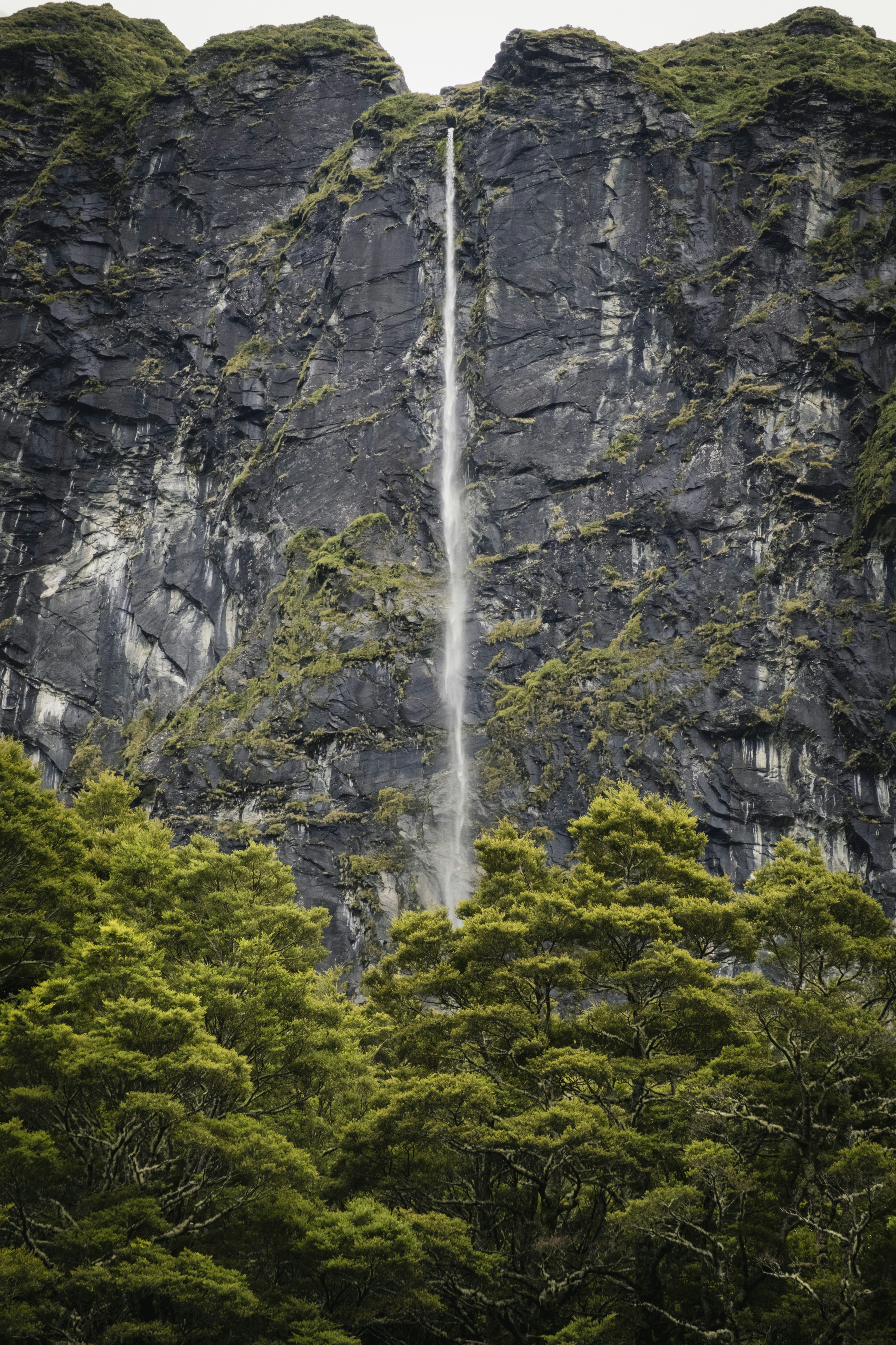 Photo by owenroth_v1