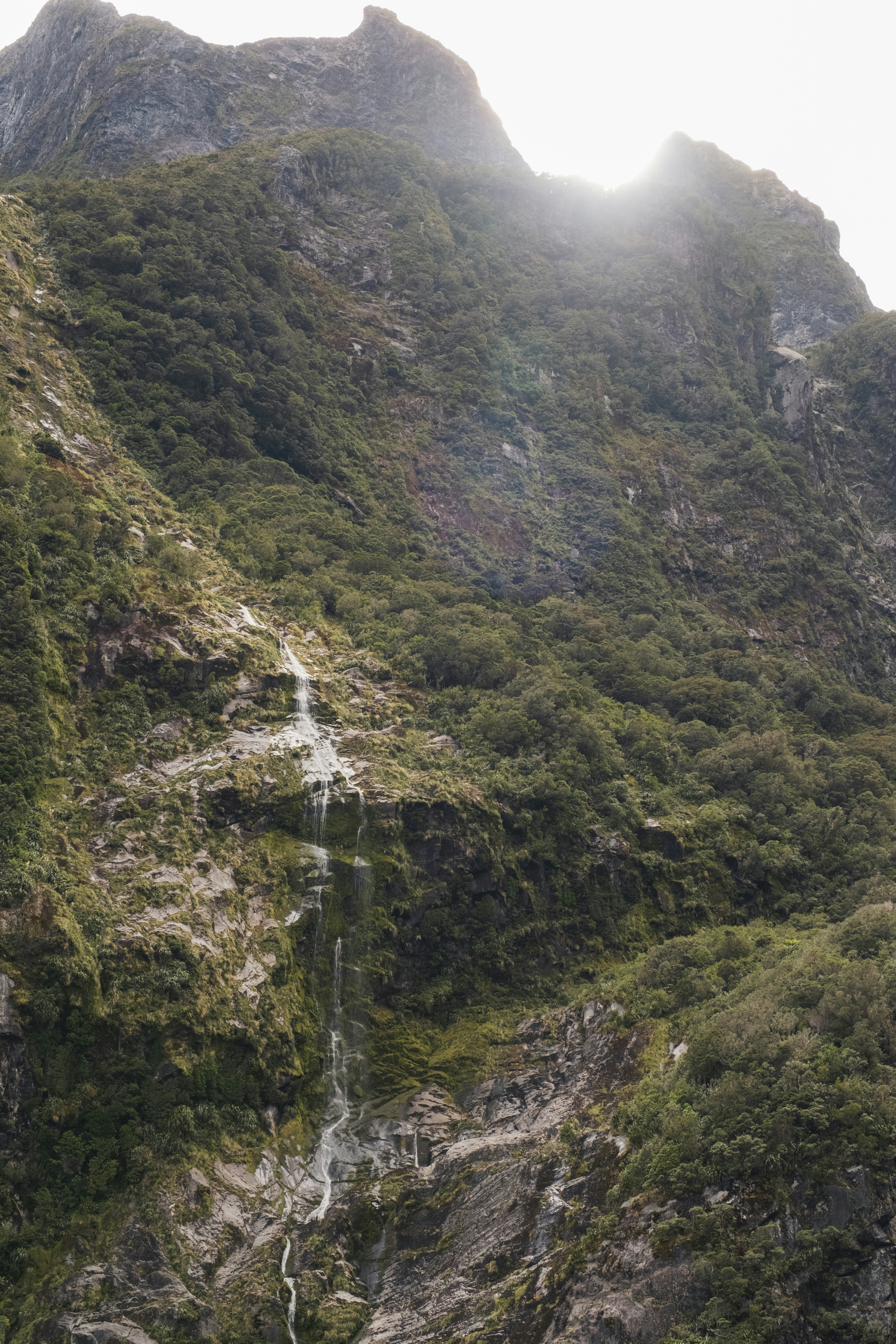 Photo by owenroth_v1