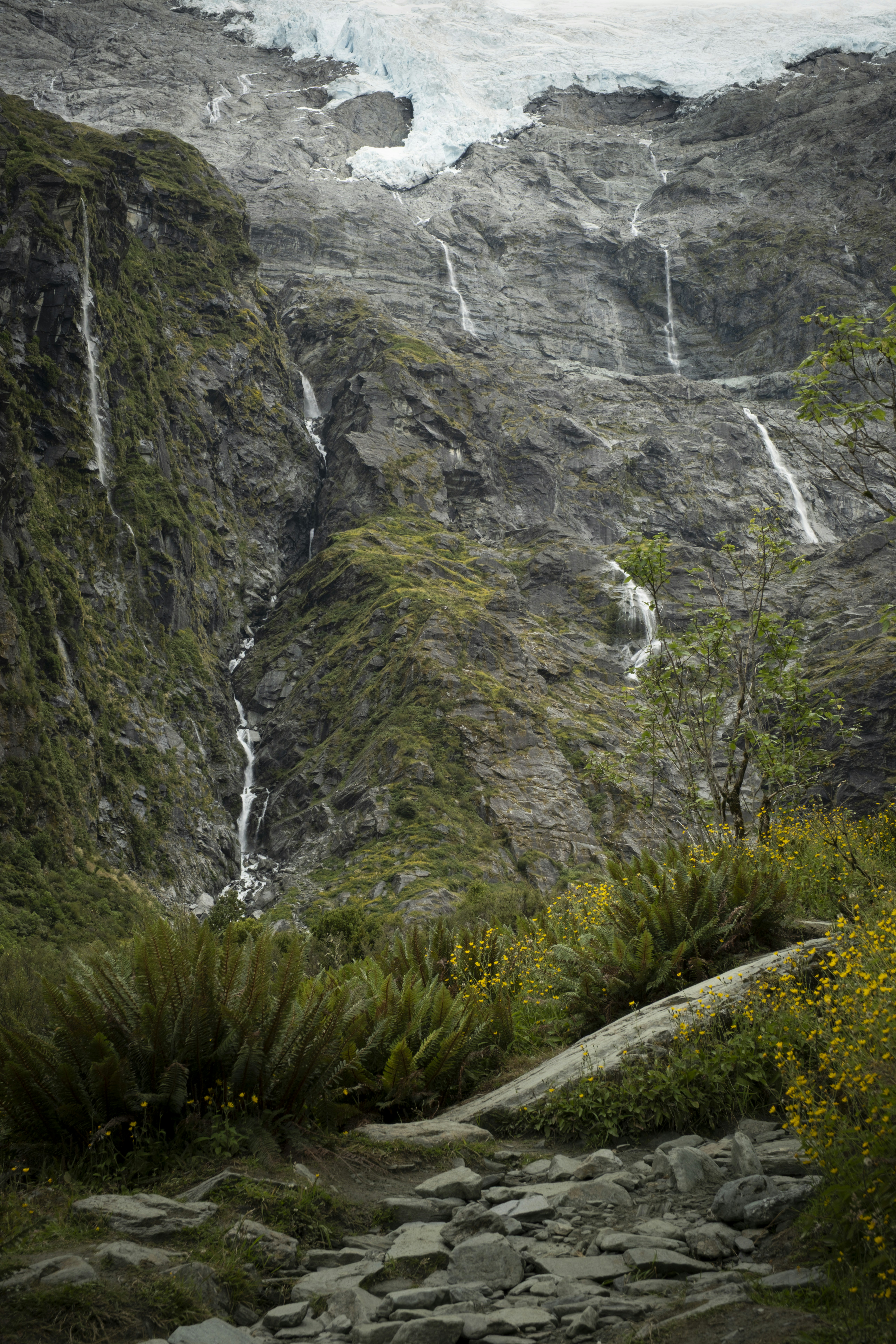 Photo by owenroth_v1