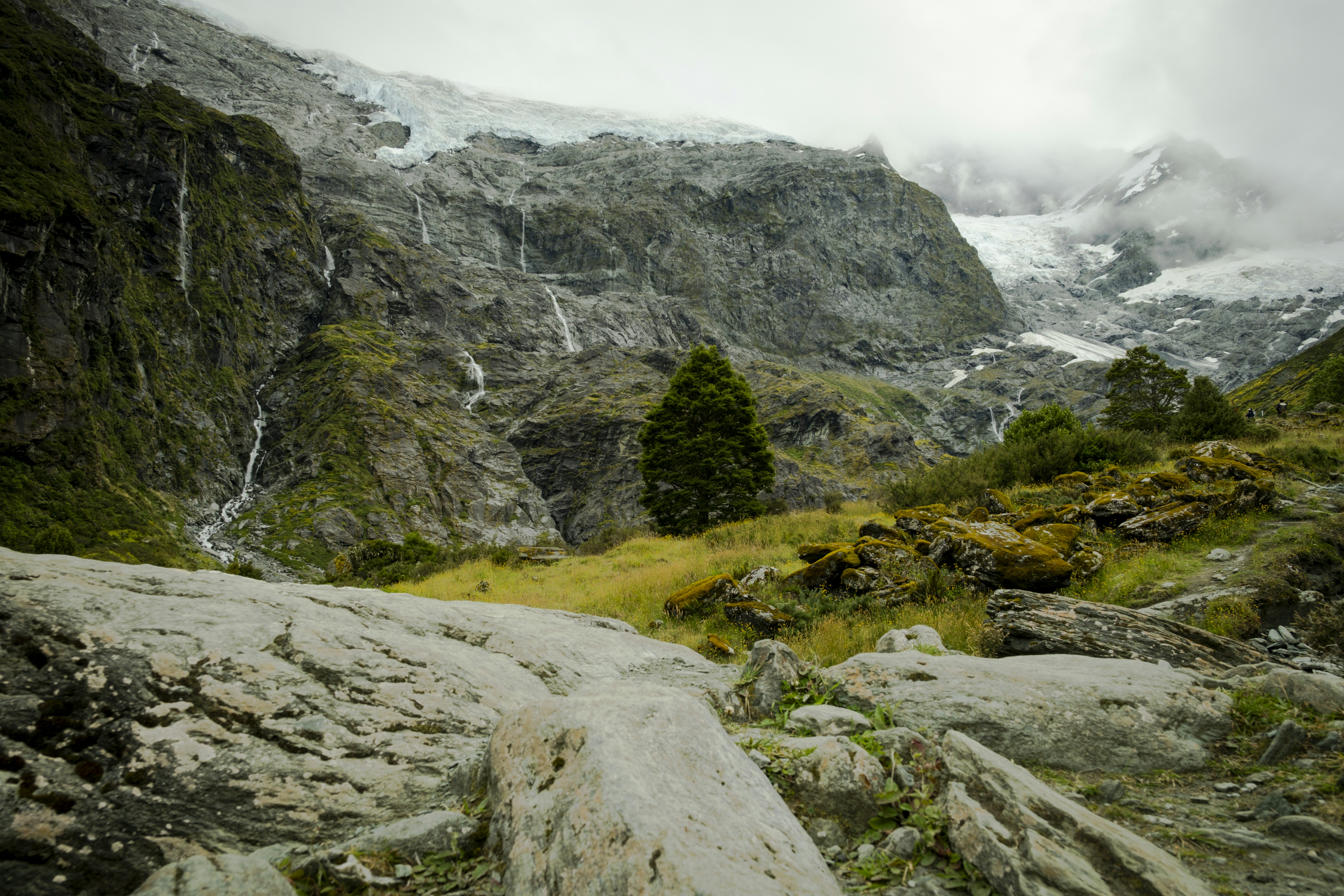 Photo by owenroth_v1