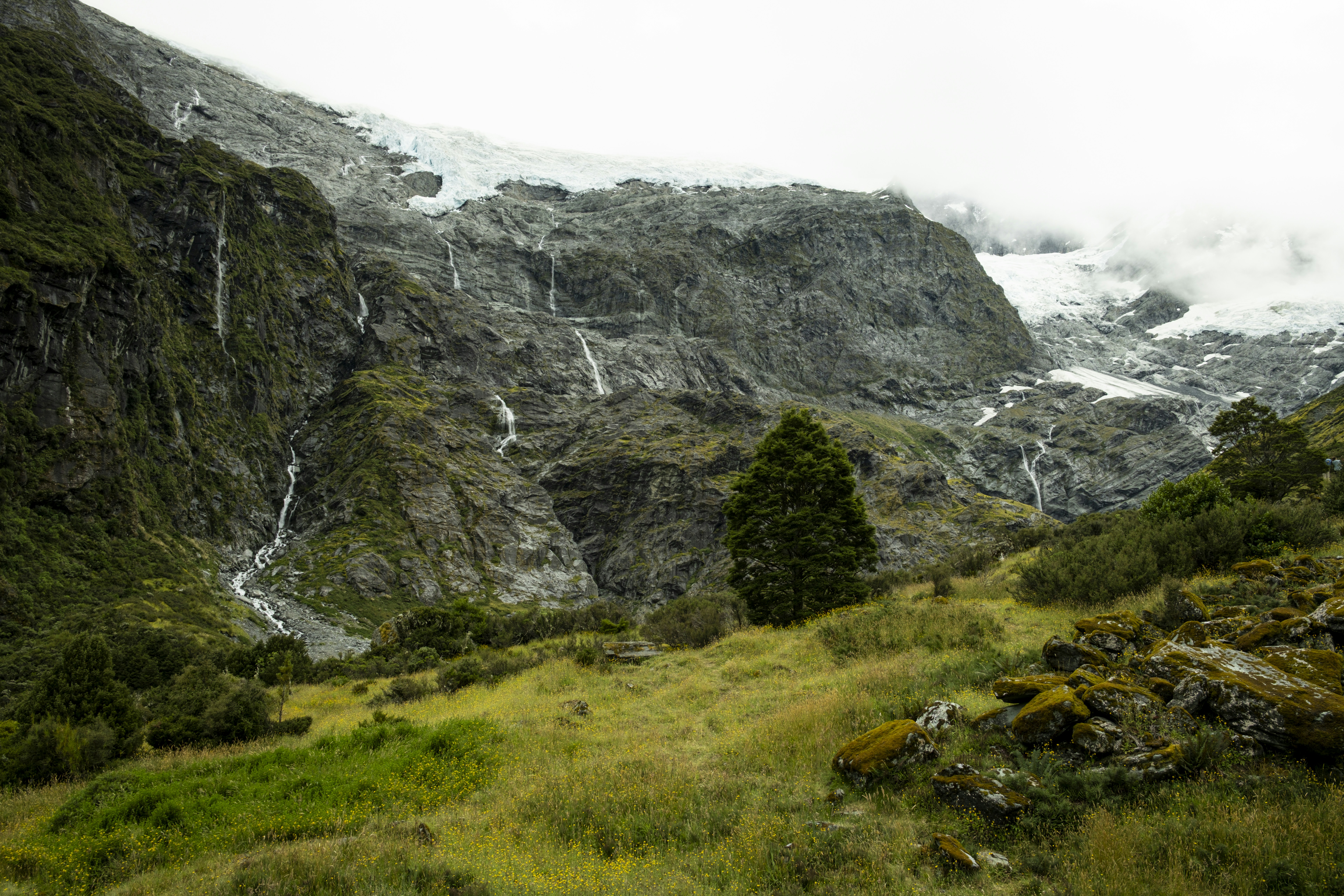 Photo by owenroth_v1