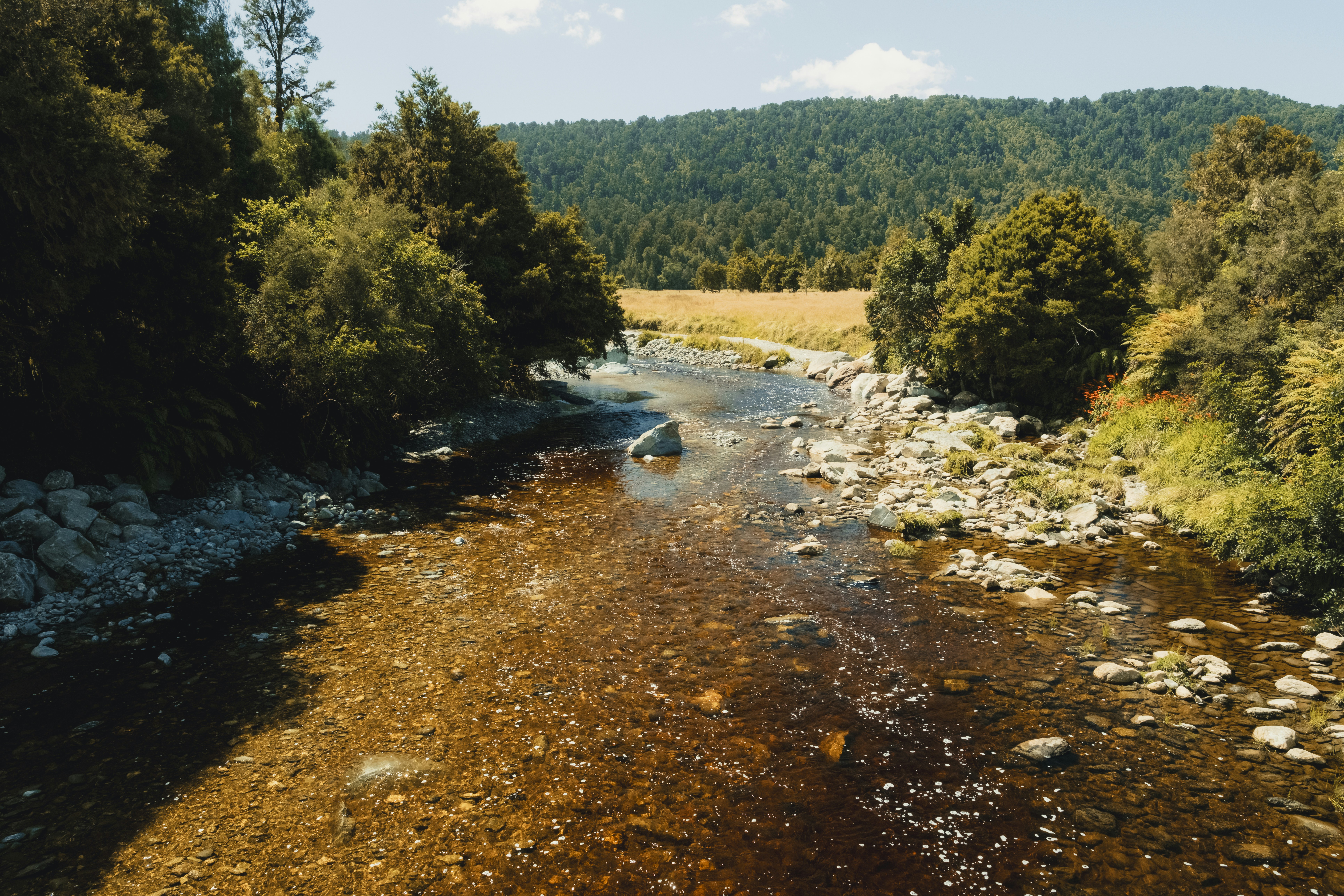 Photo by owenroth_v1