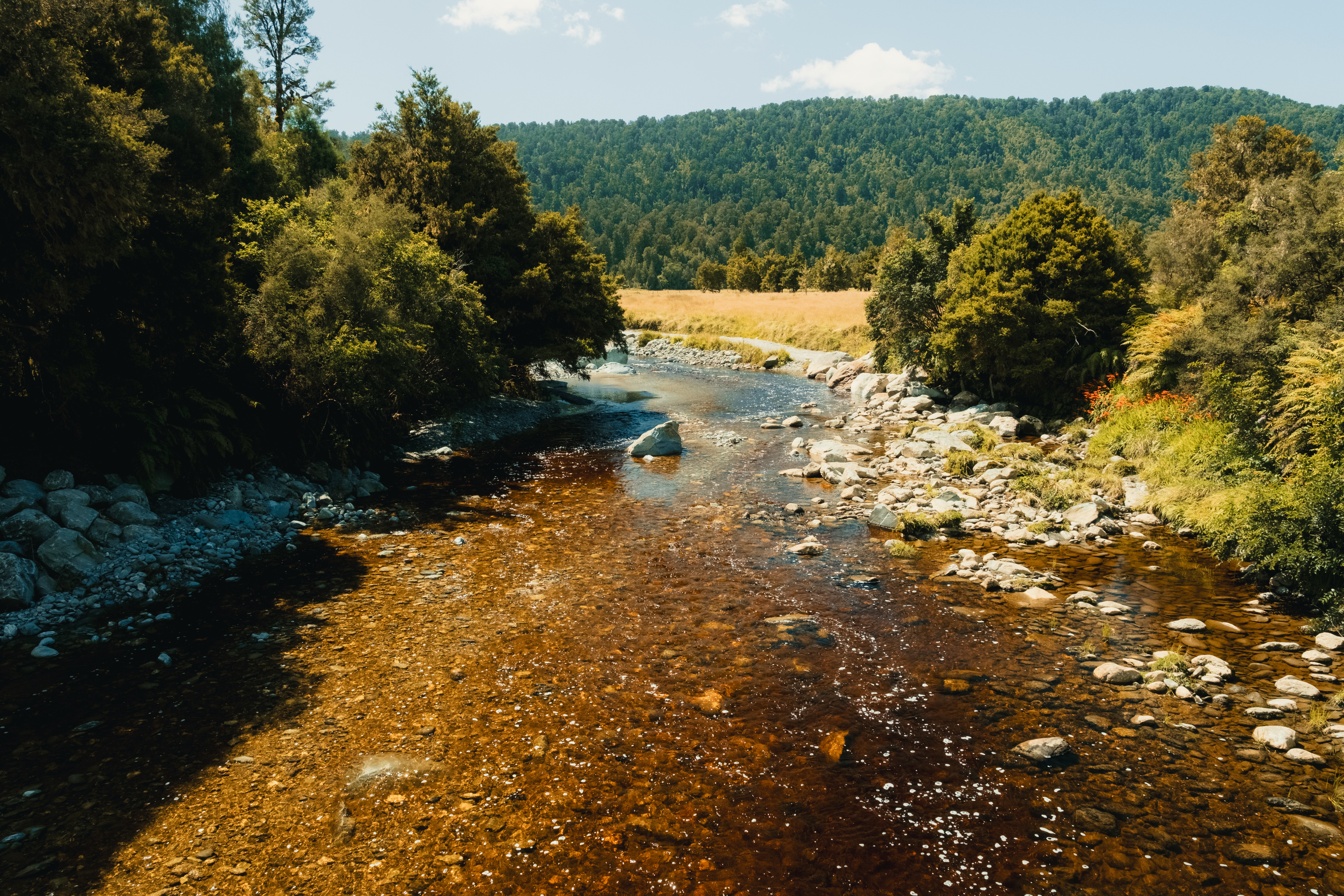 Fish Native, Fish Smart: Your Regional Playbook for Targeting Species That Actually Need You