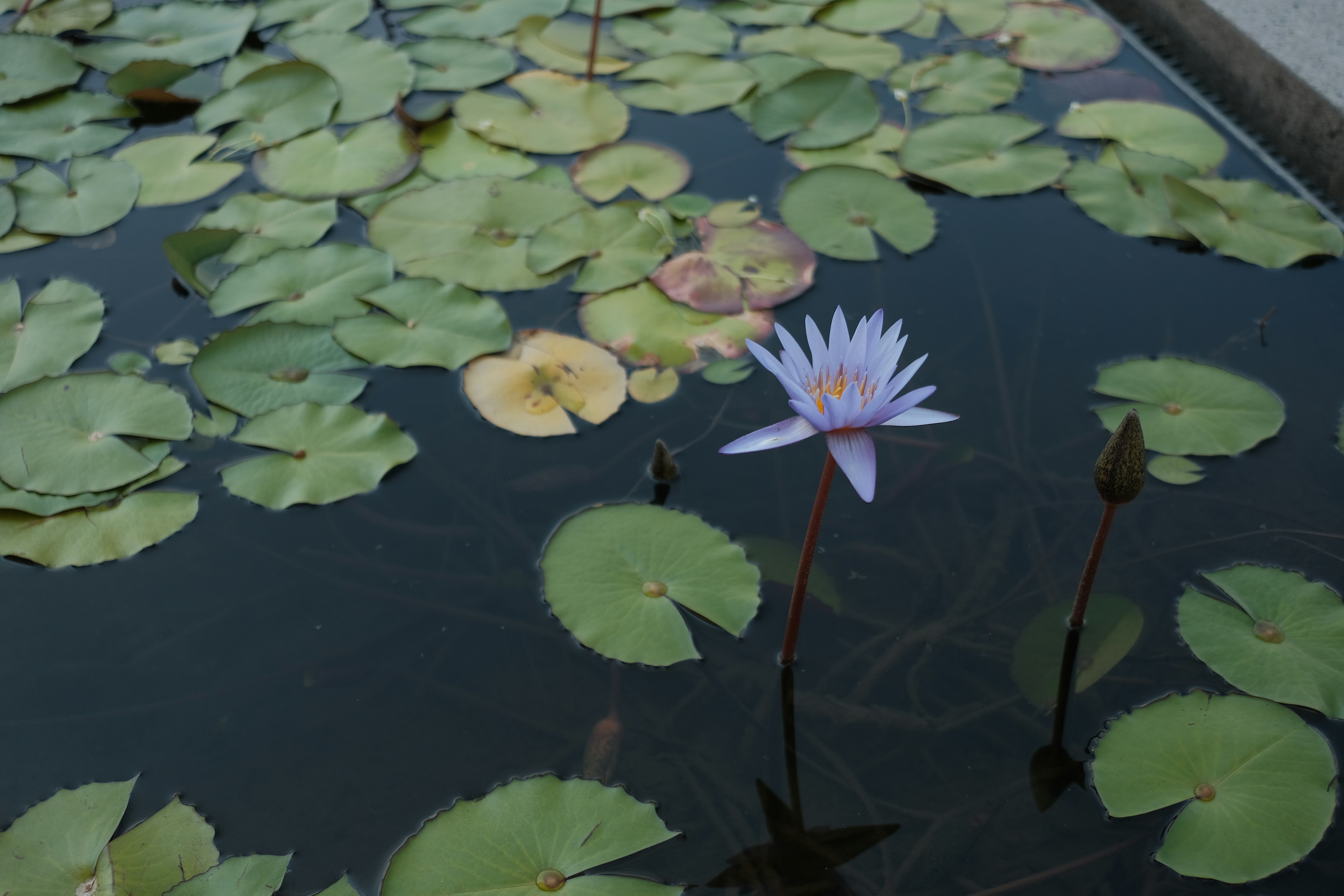 Photo by kiisstherain