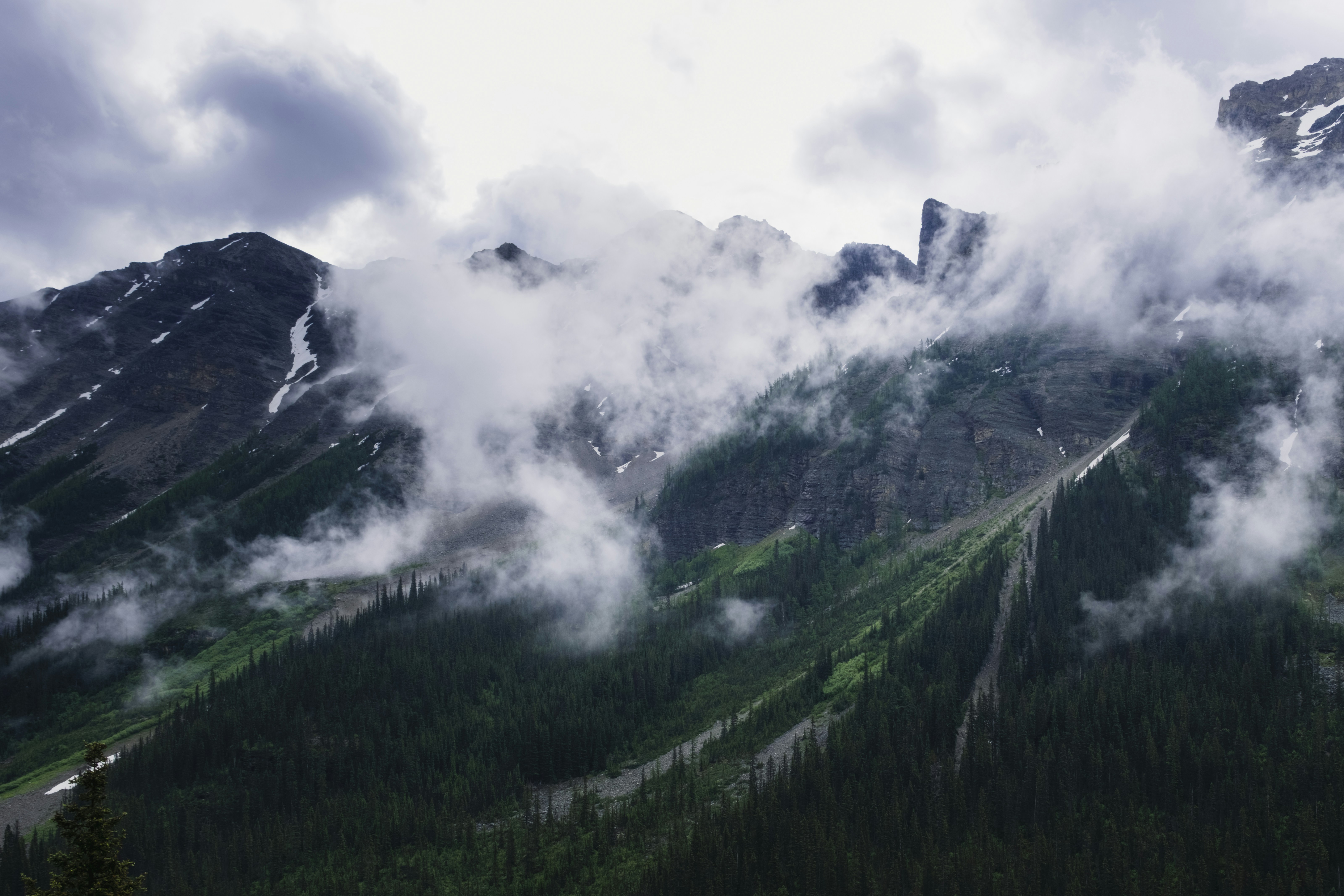 Photo by owenroth_v1