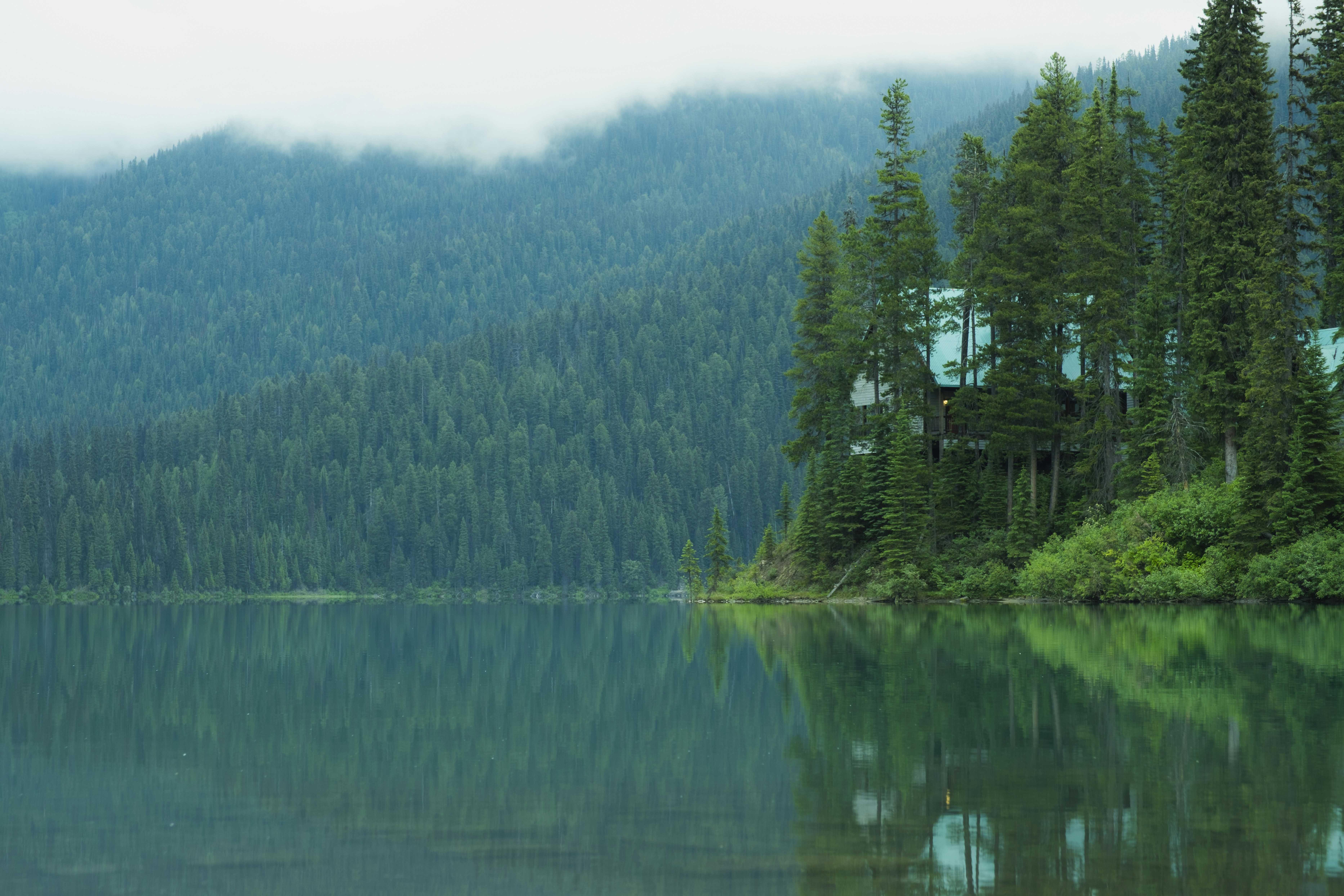 Photo by owenroth_v1