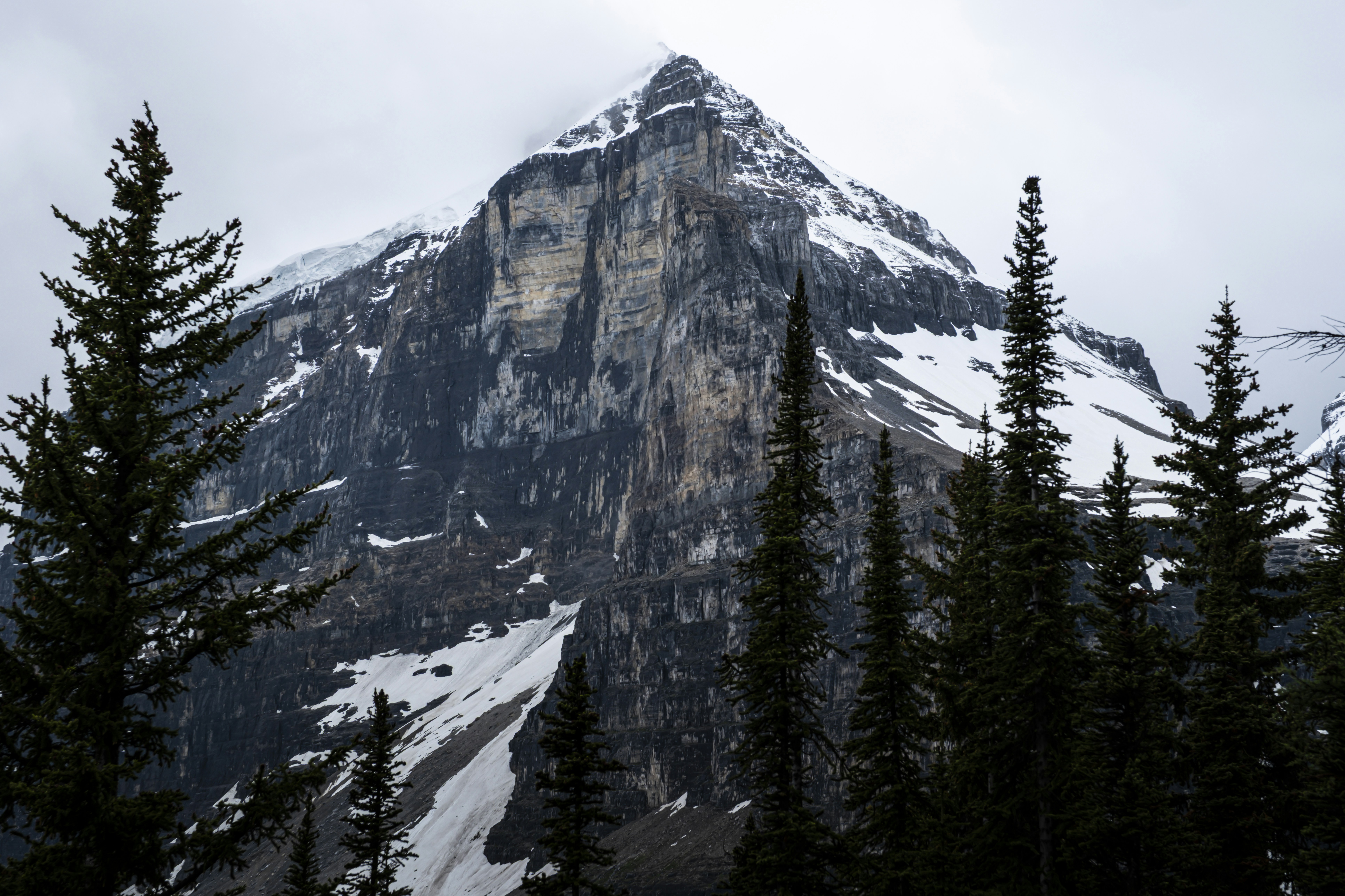 Photo by owenroth_v1