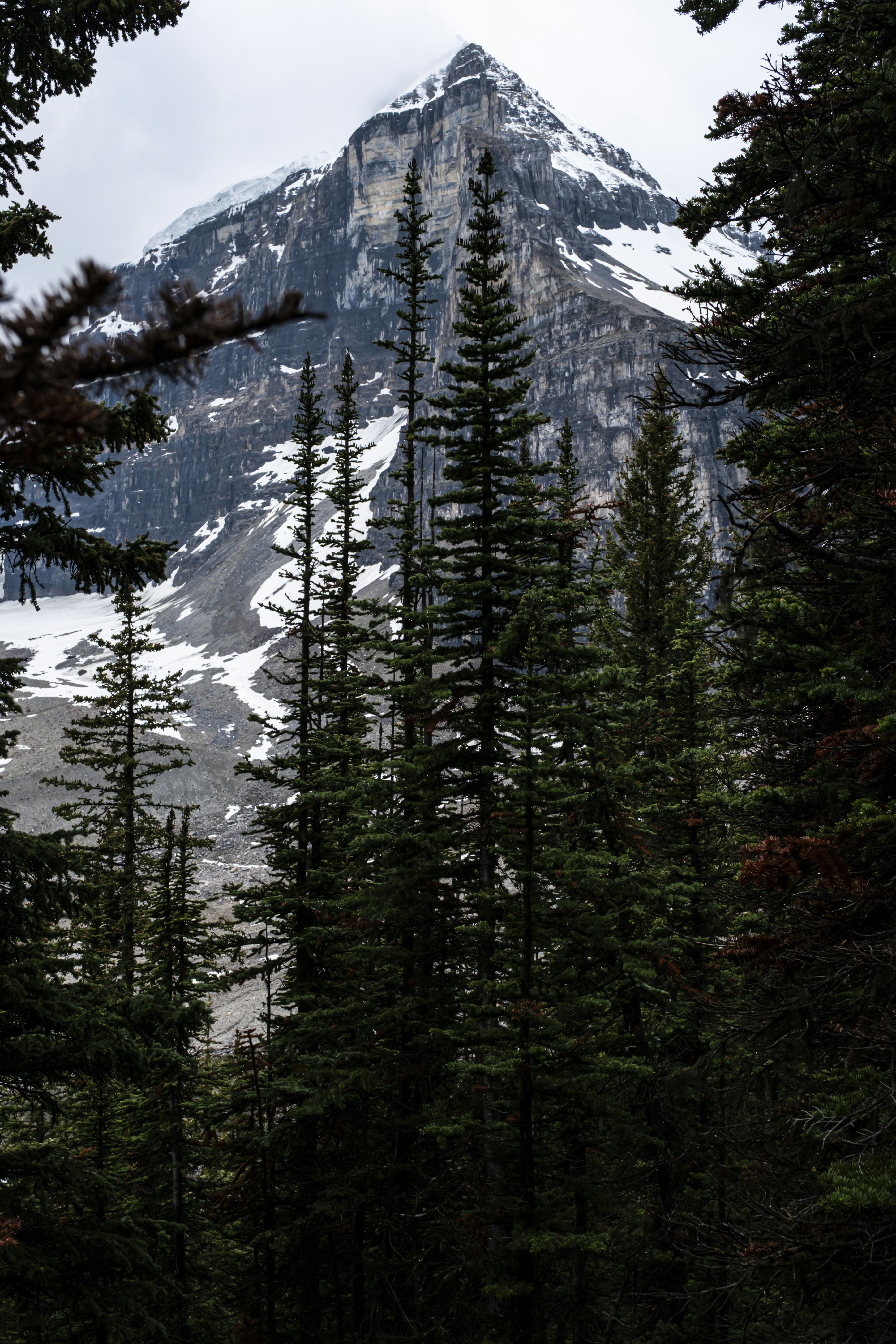 Photo by owenroth_v1