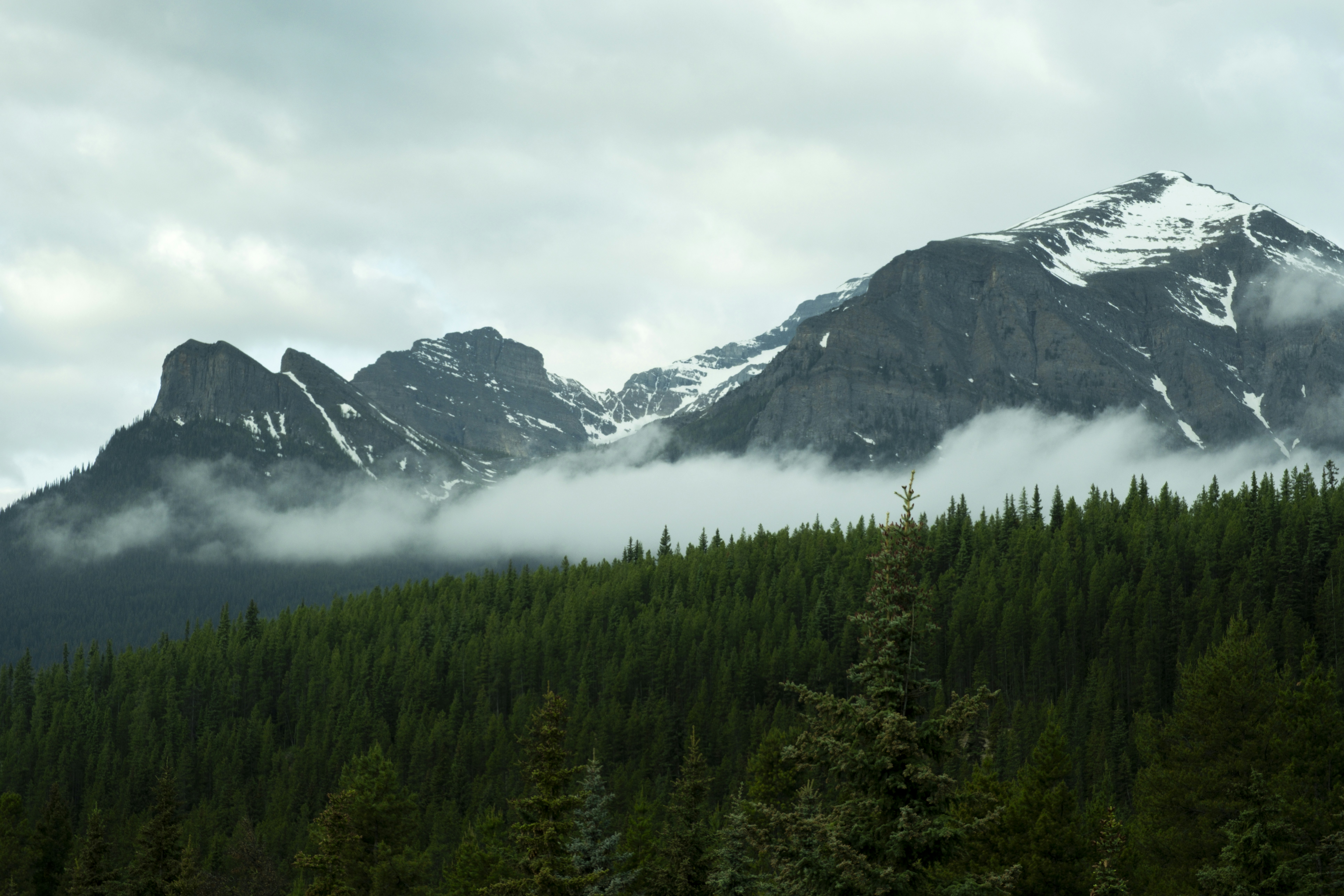 Photo by owenroth_v1