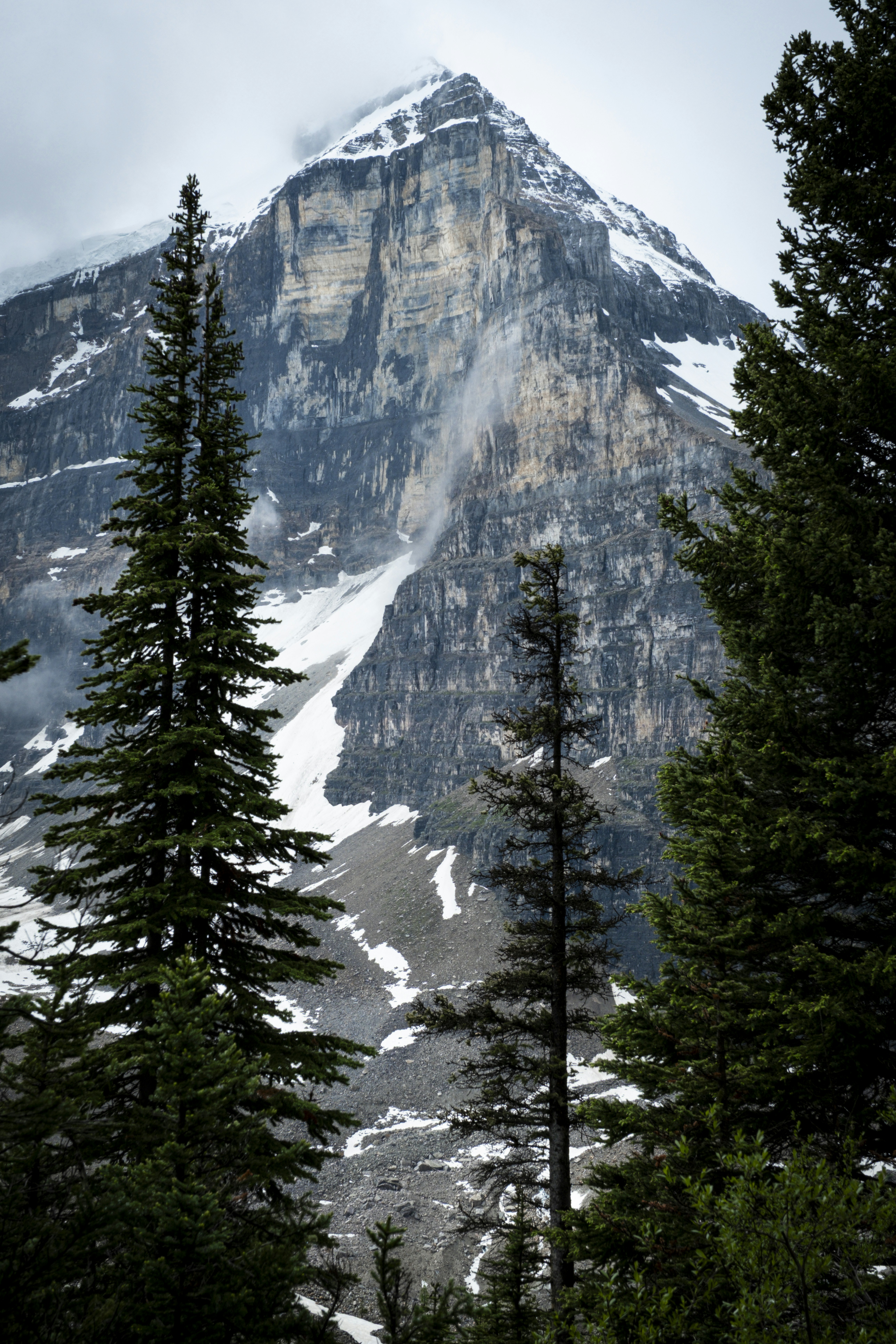 Photo by owenroth_v1