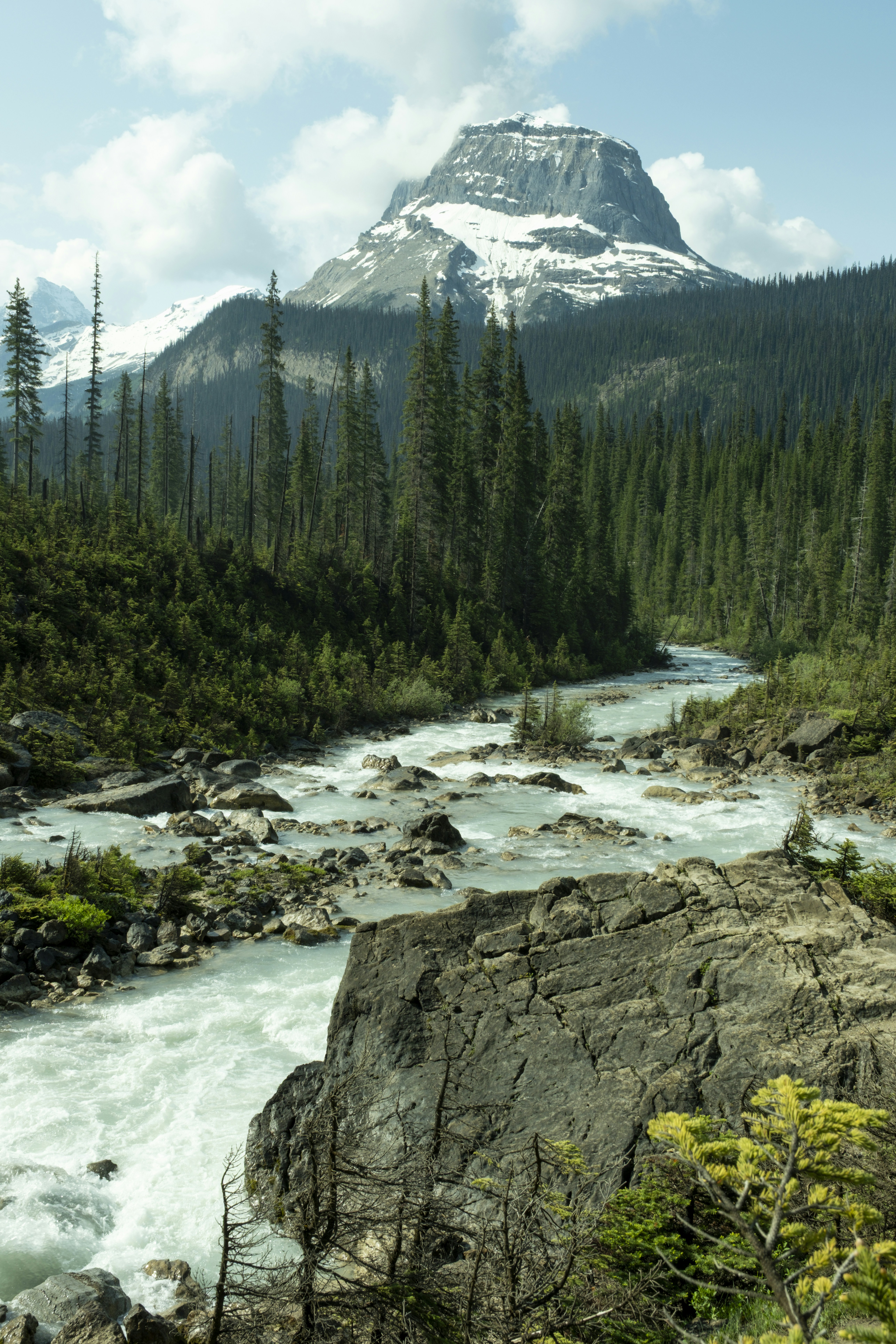 Photo by owenroth_v1