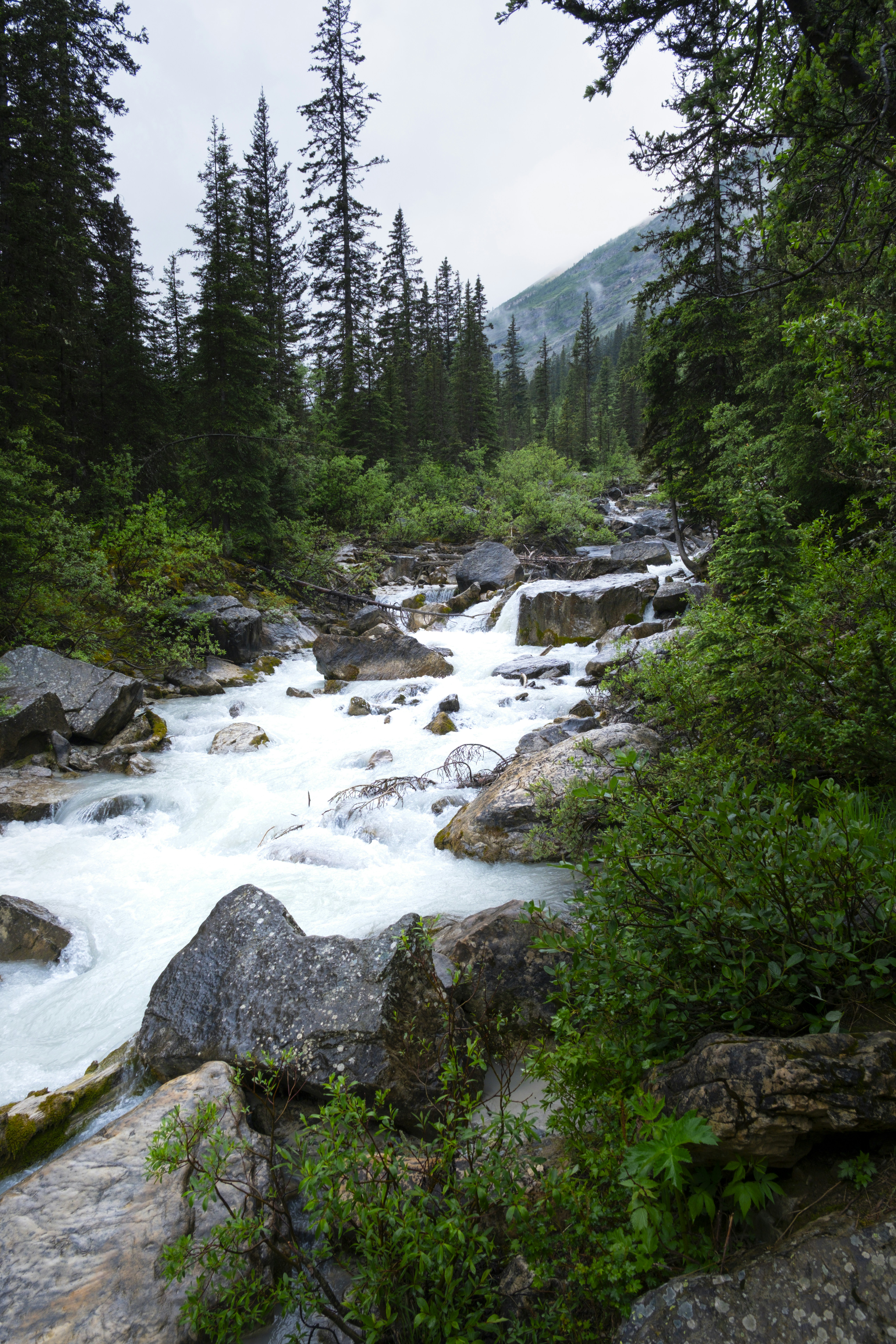 Photo by owenroth_v1