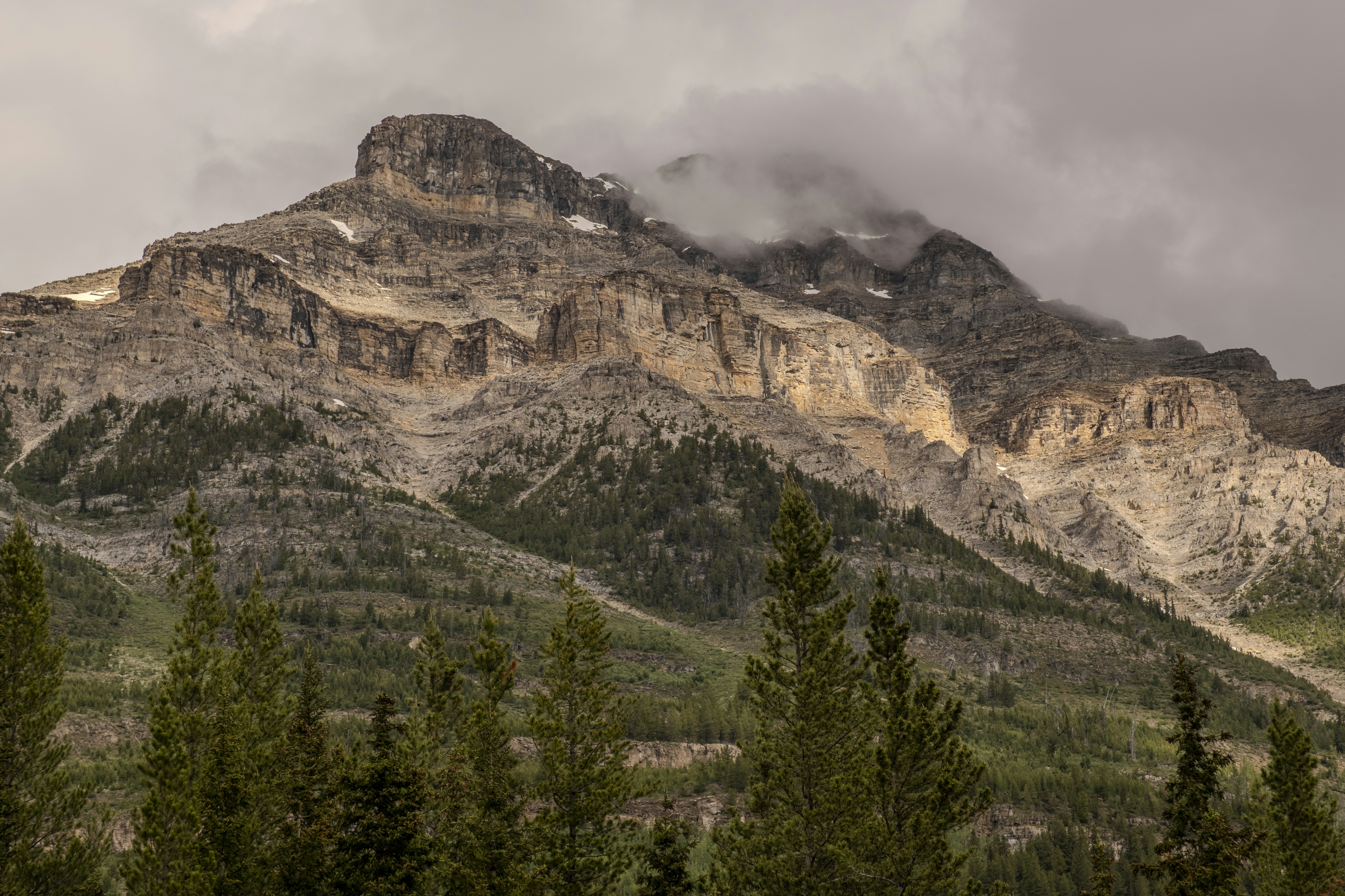 Photo by owenroth_v1