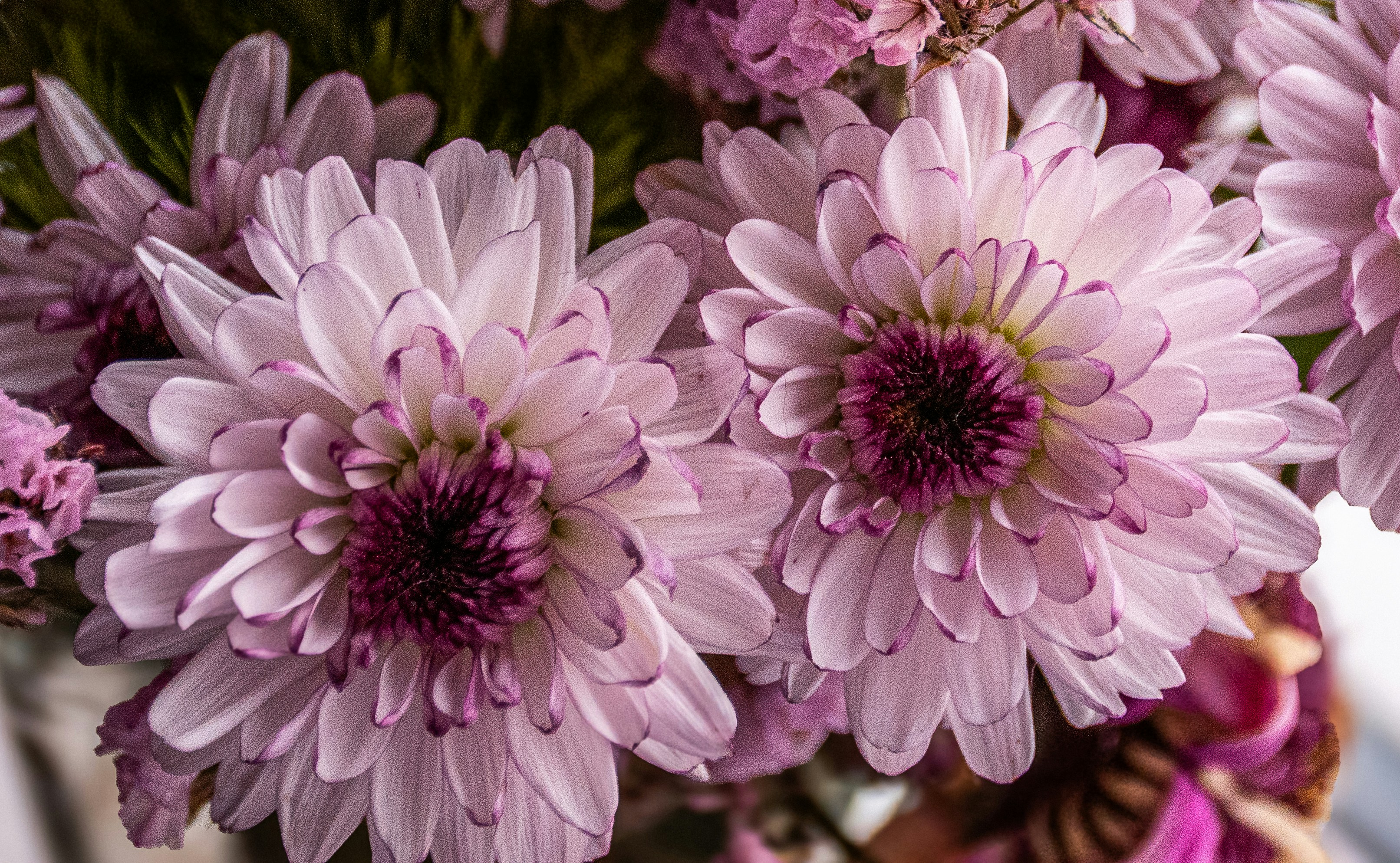 Photo by gabrial1819