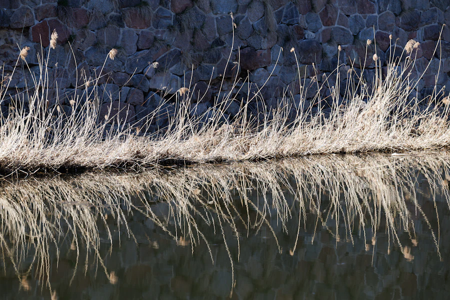 dusk · still water