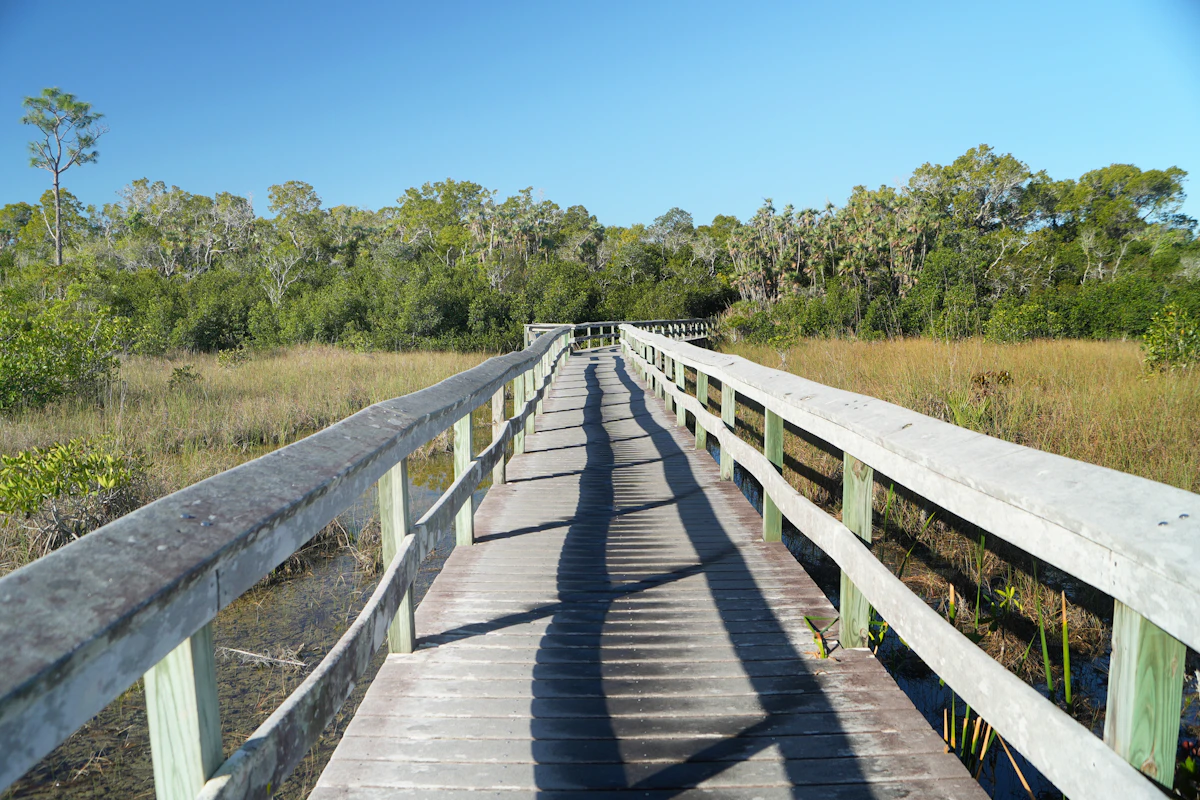 Juanita Bay Wetland Trail Fun Run