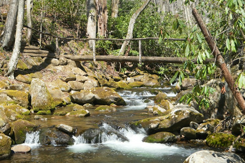 A clear mountain stream spilling over mossy boulders in a spring forest, crossed by a single log footbridge with a wooden handrail