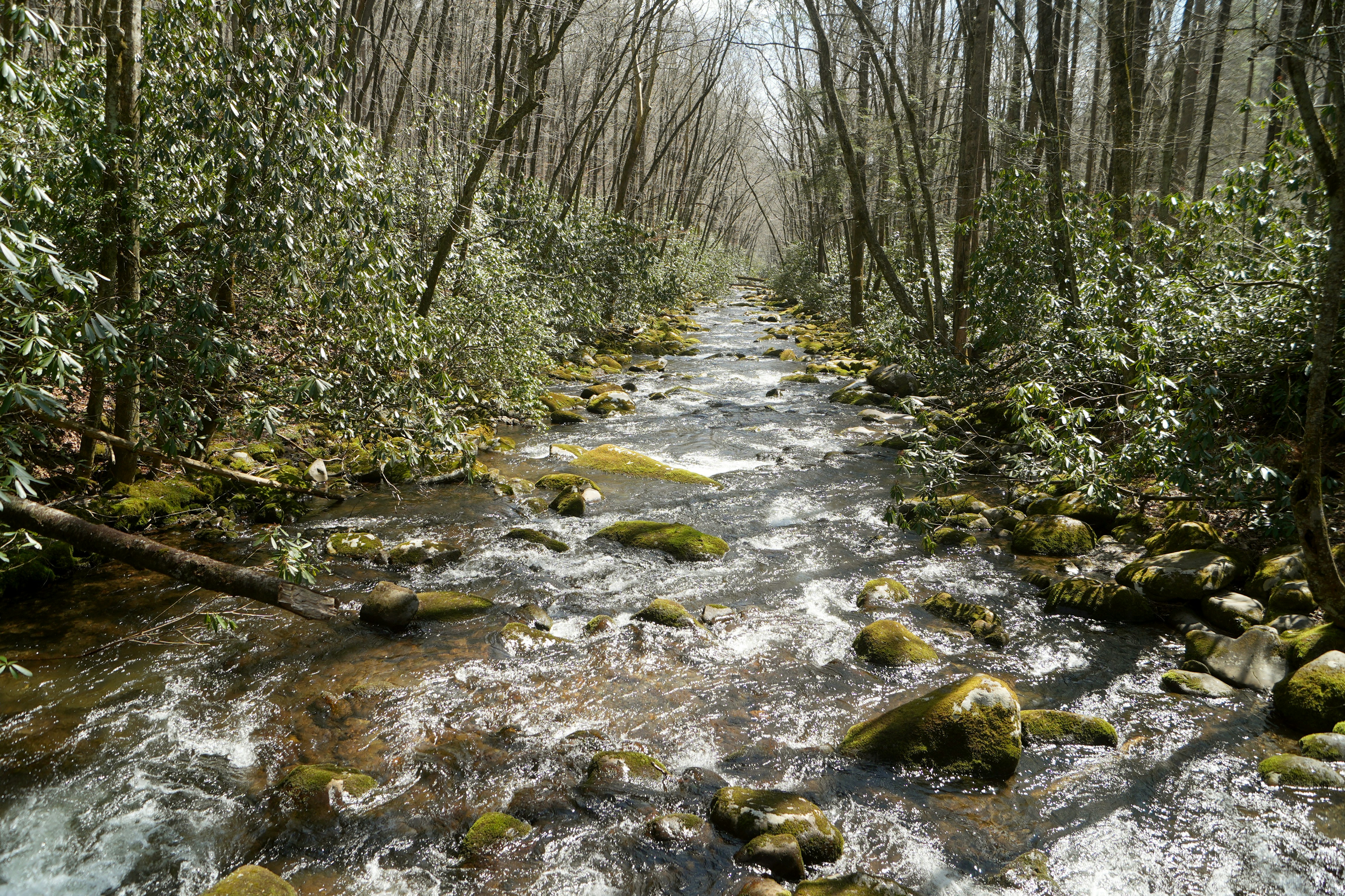 'great outdoor scene