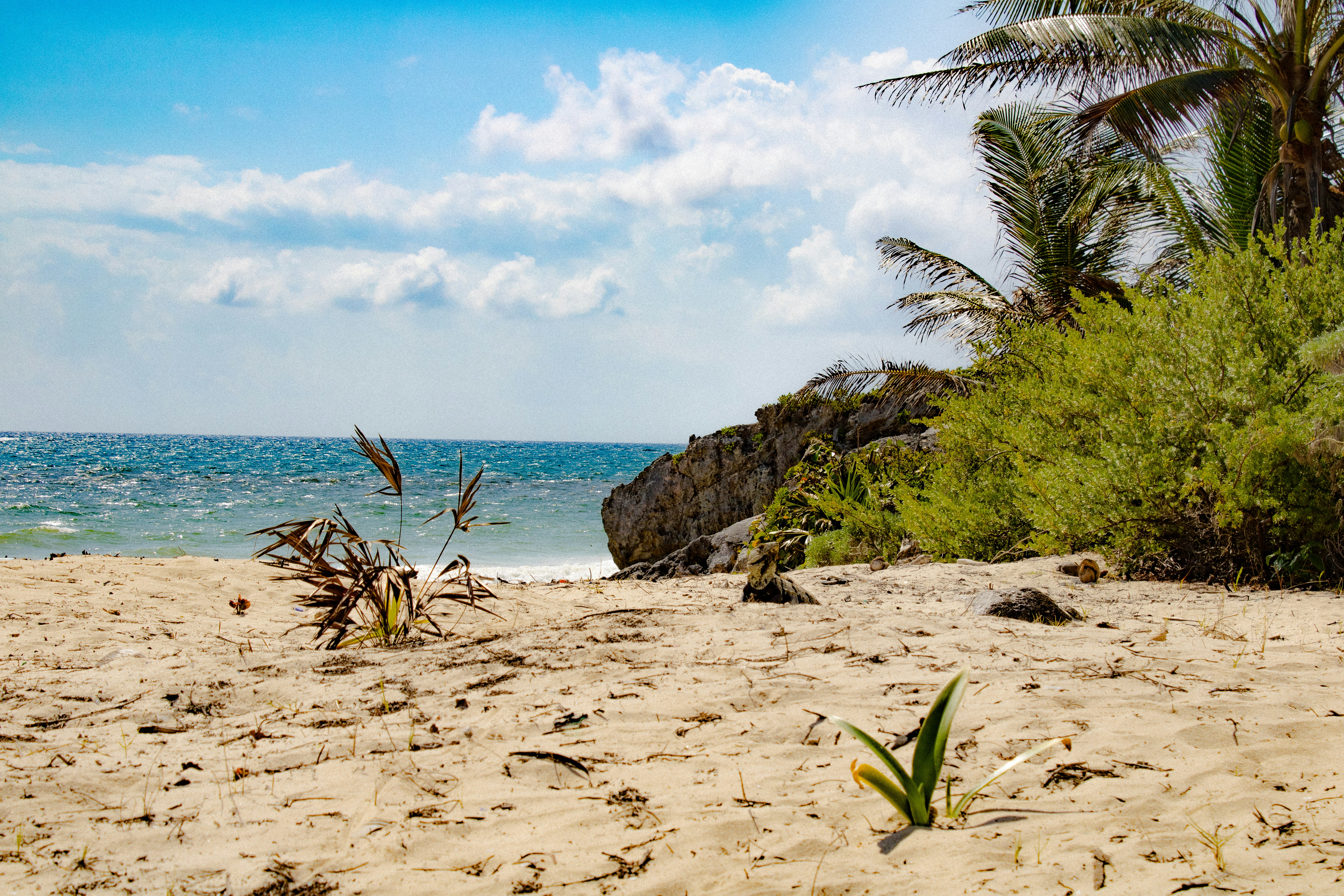 Photo by jennygasoline