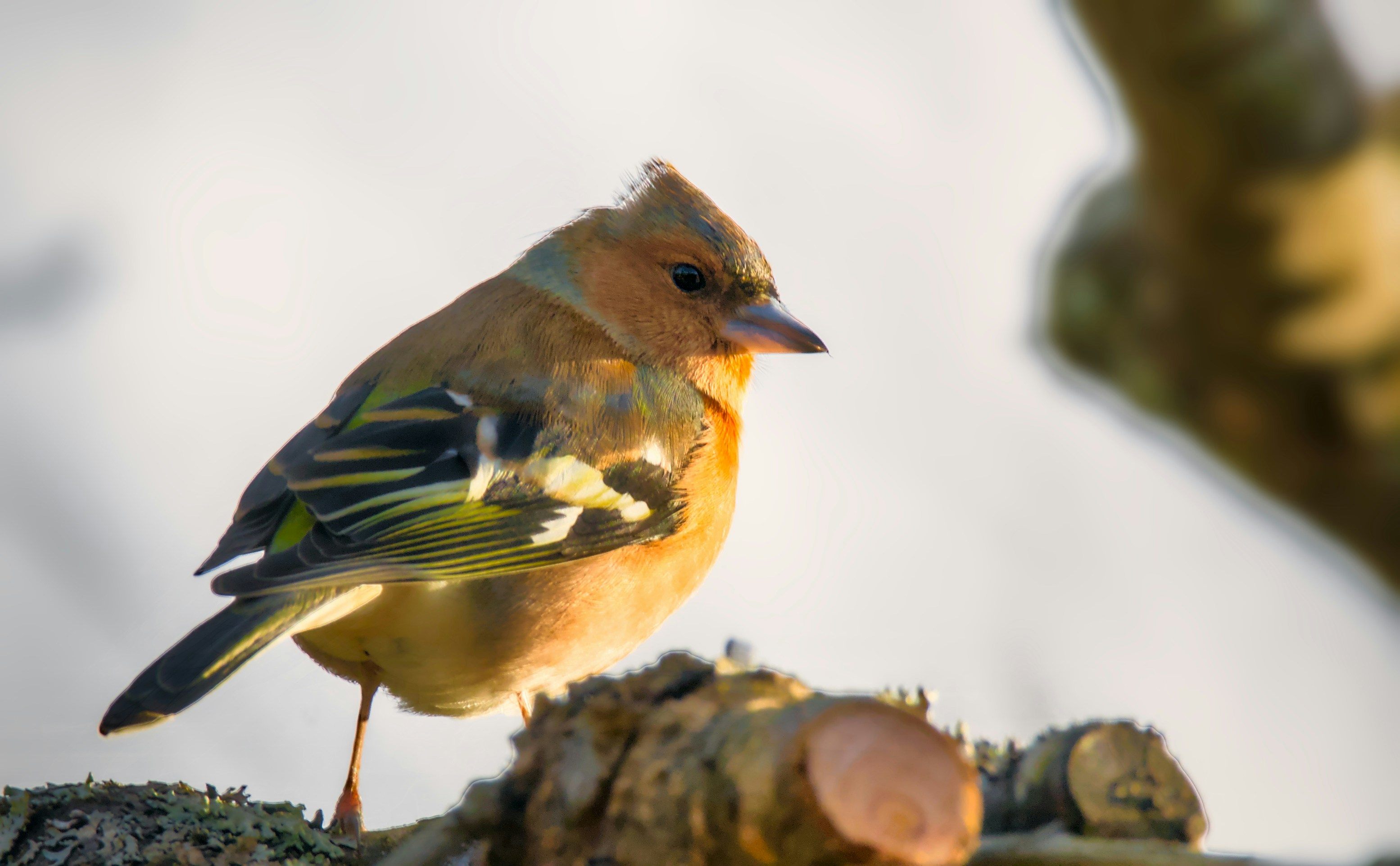 Photo by anna_storsul