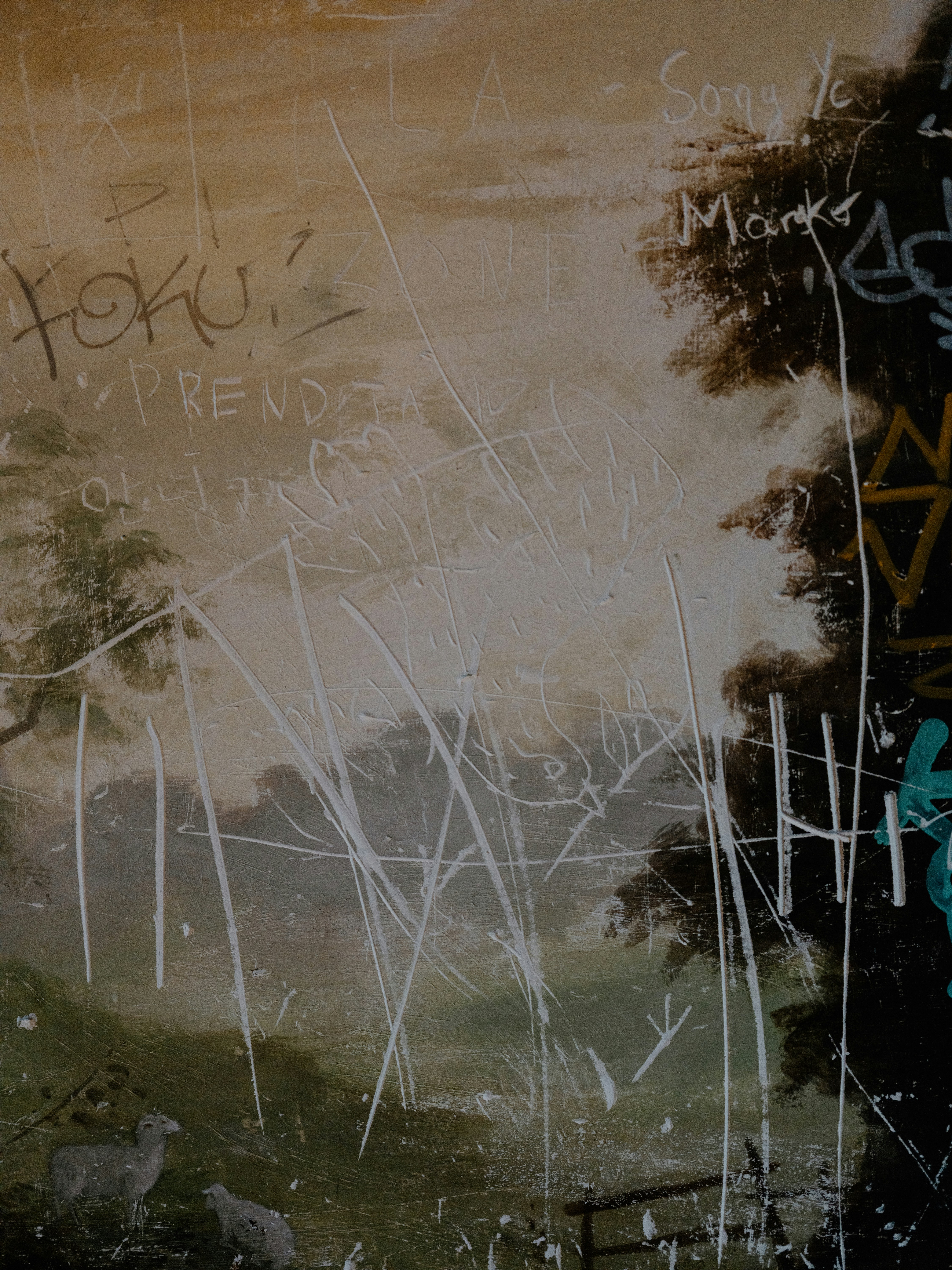 Photo by anniespratt