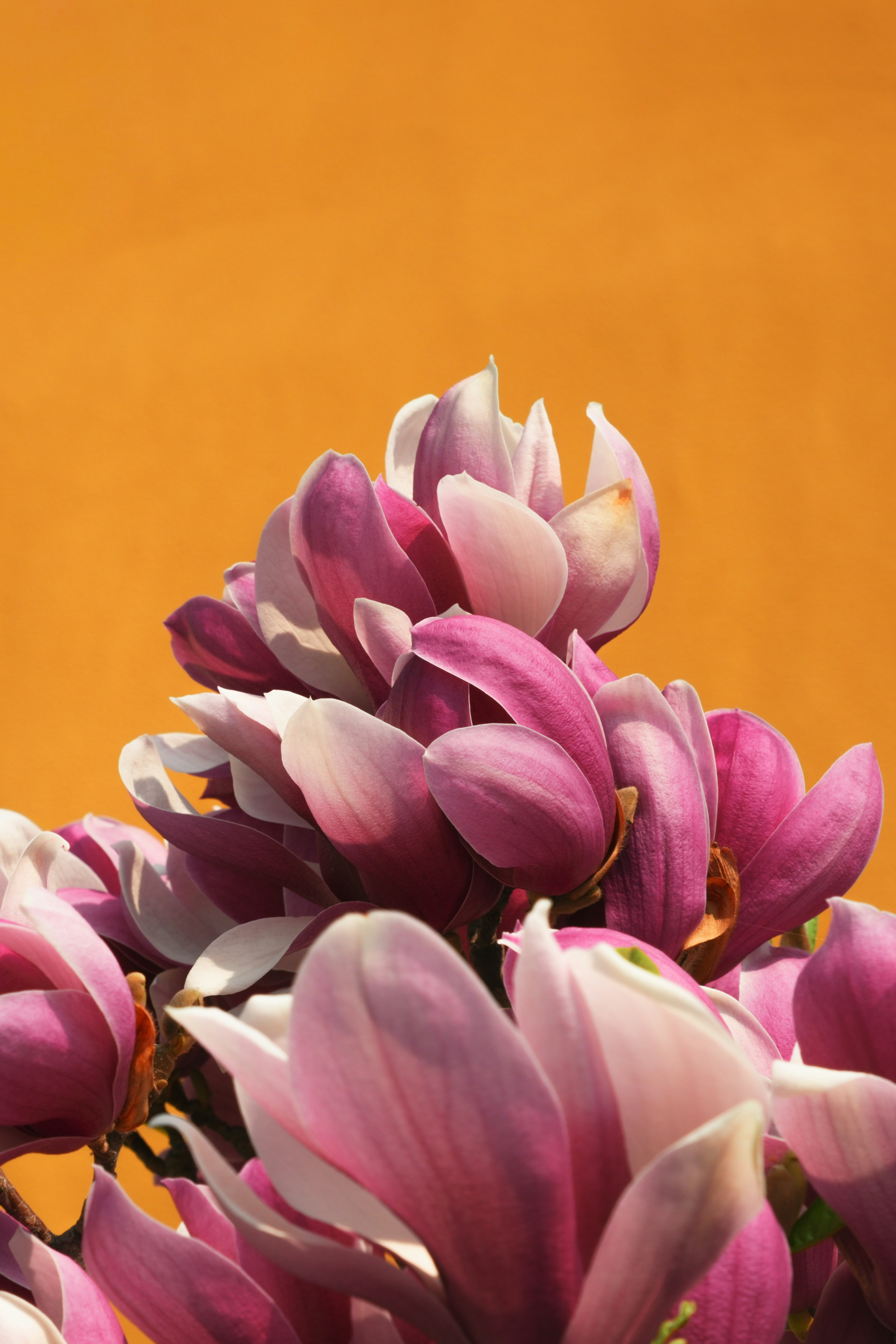 Photo by hattrick1996