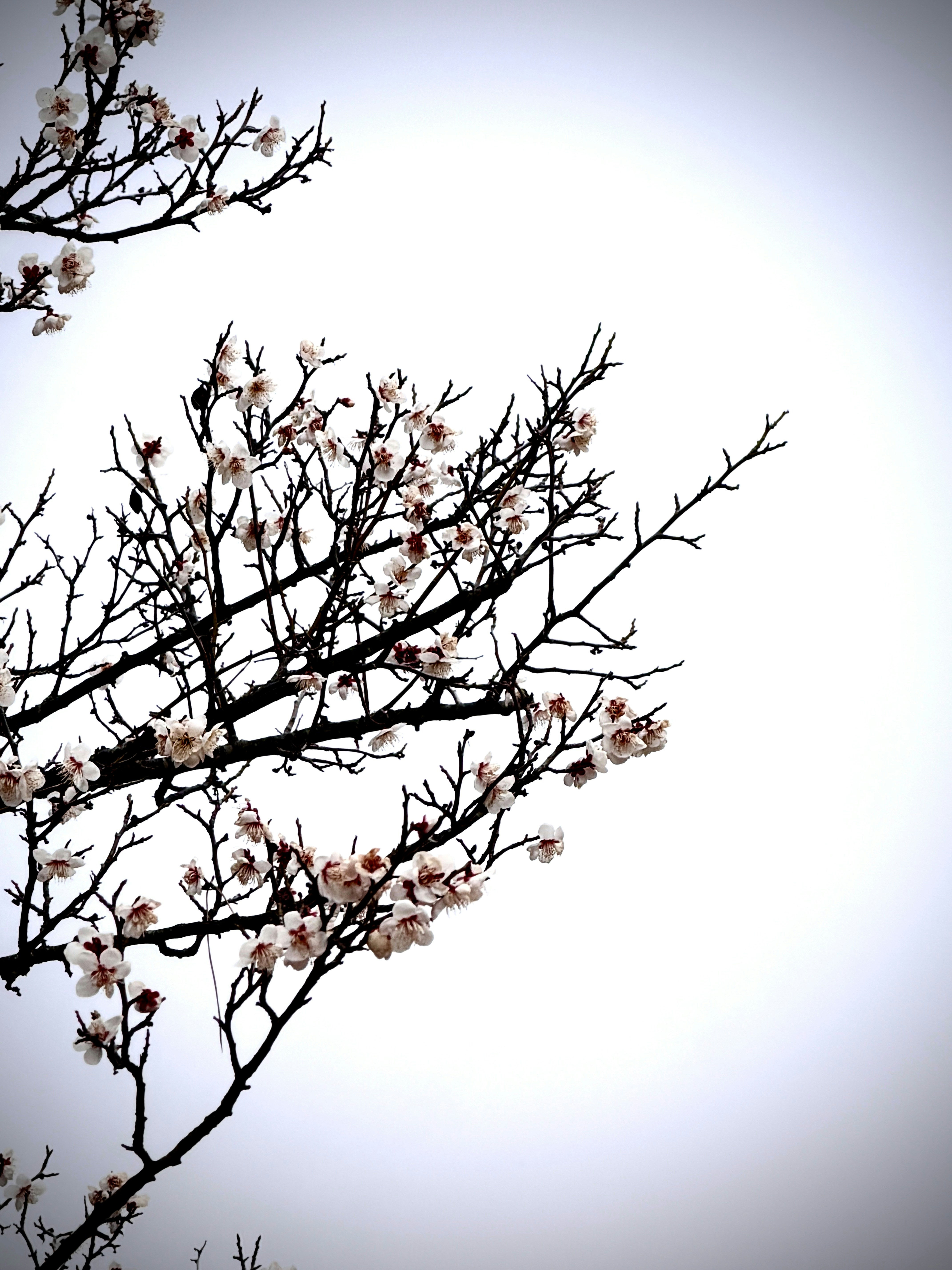 Photo by efdoc6768