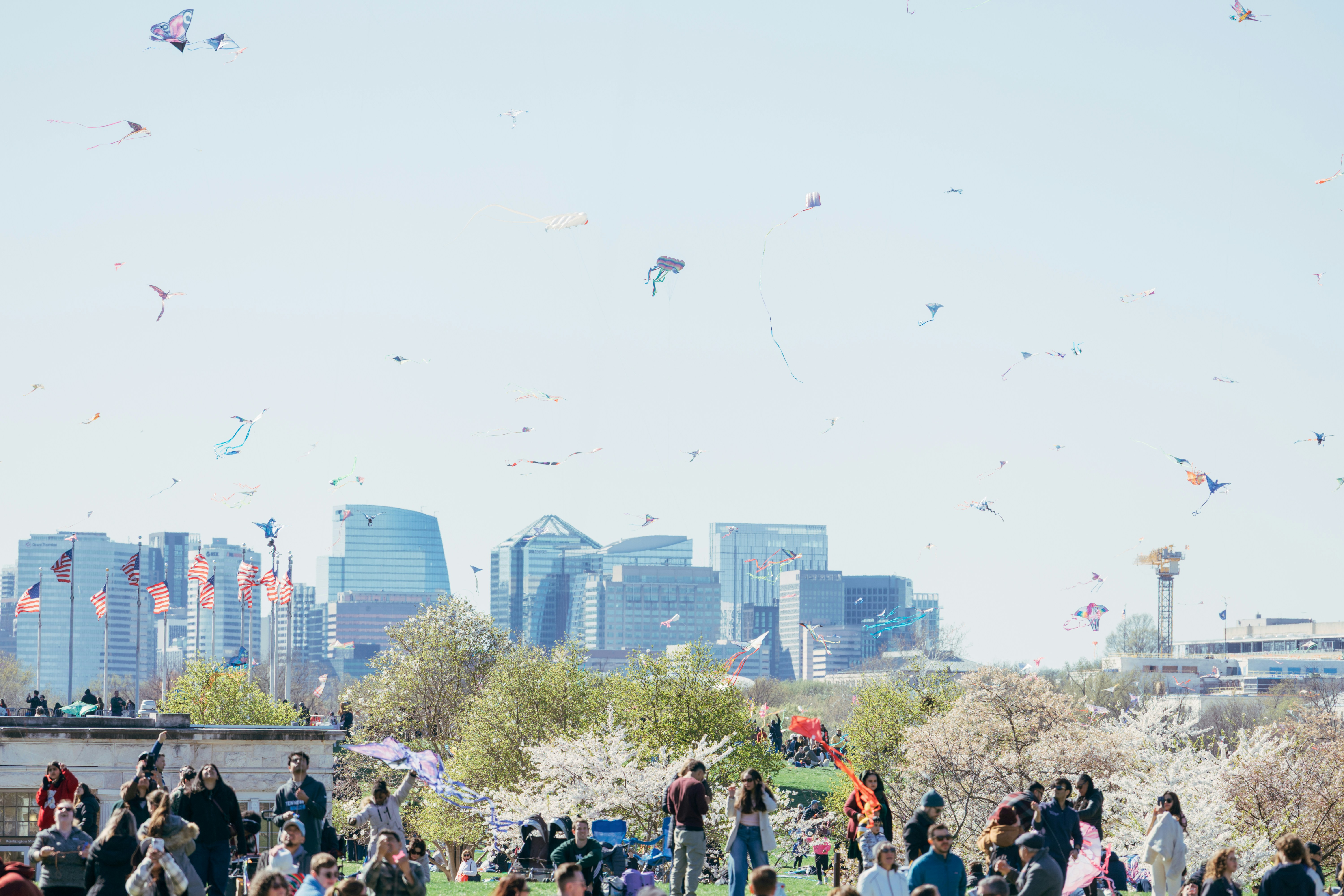People enjoying a kite festival with city skyline