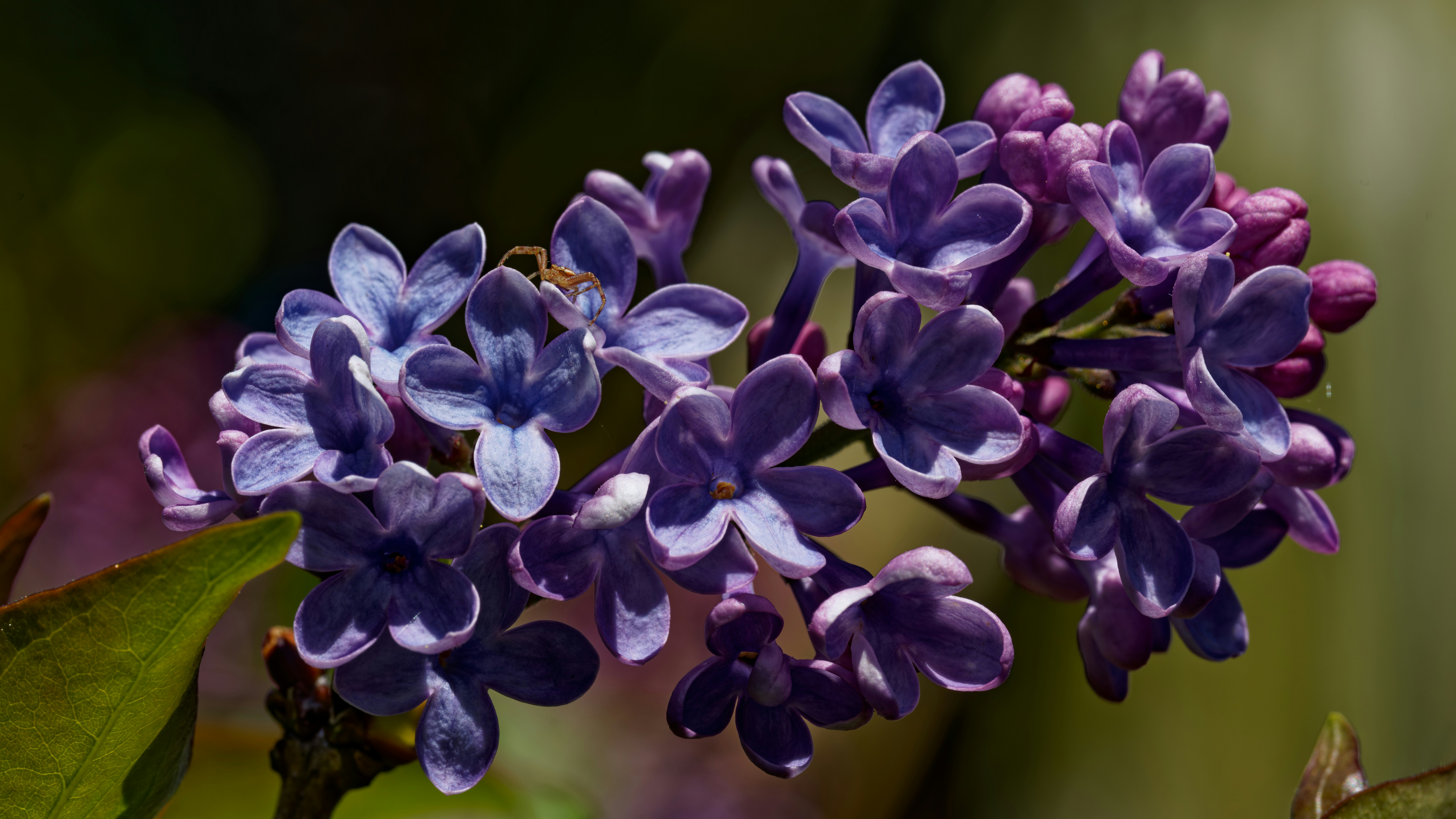 Photo by patrickbigelow_zoom_in