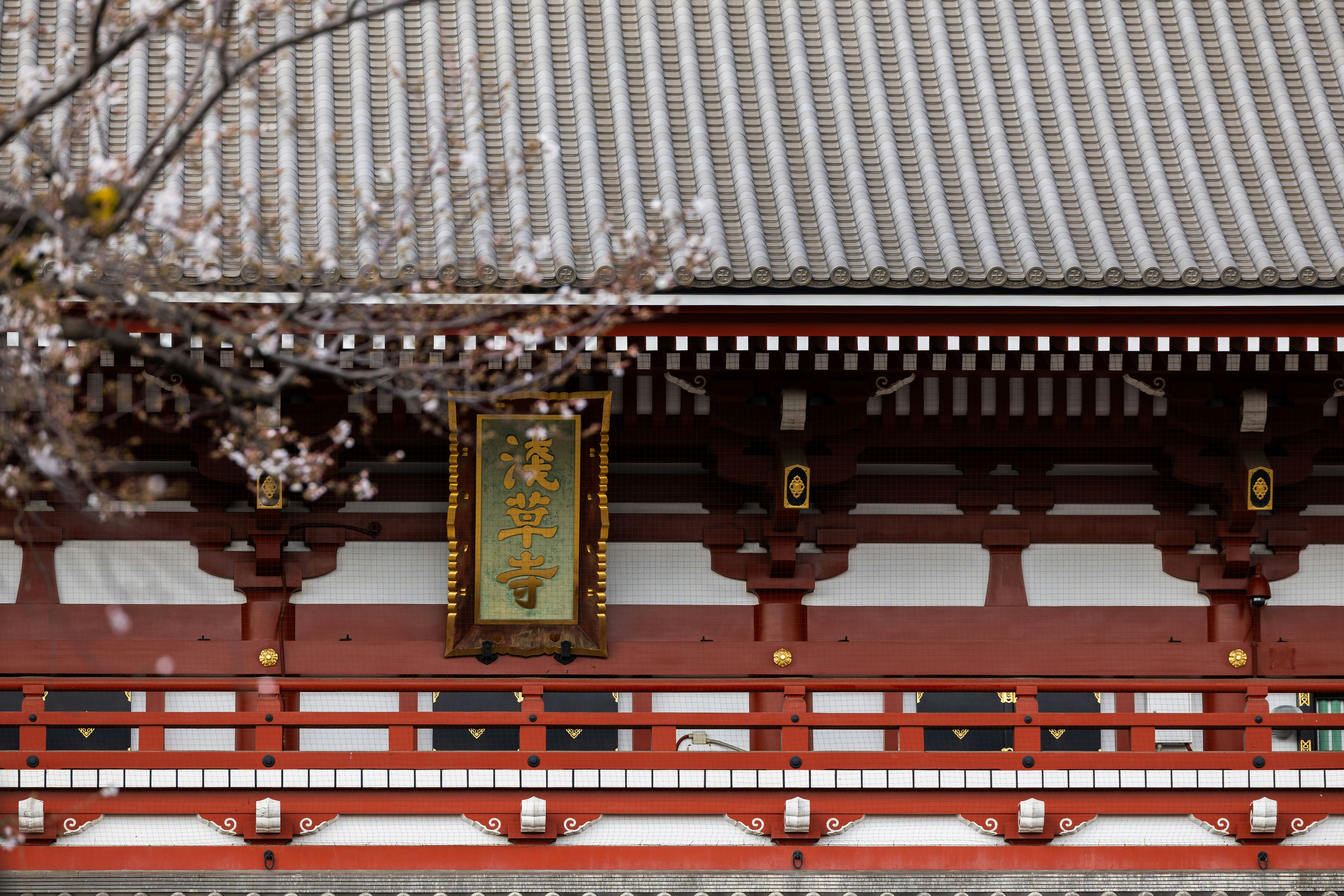 Photo by yangluhan091