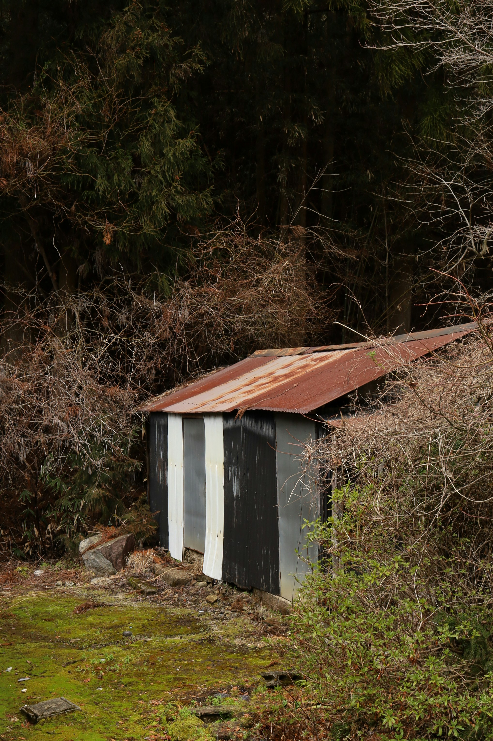 Photo by evgeniya_pron