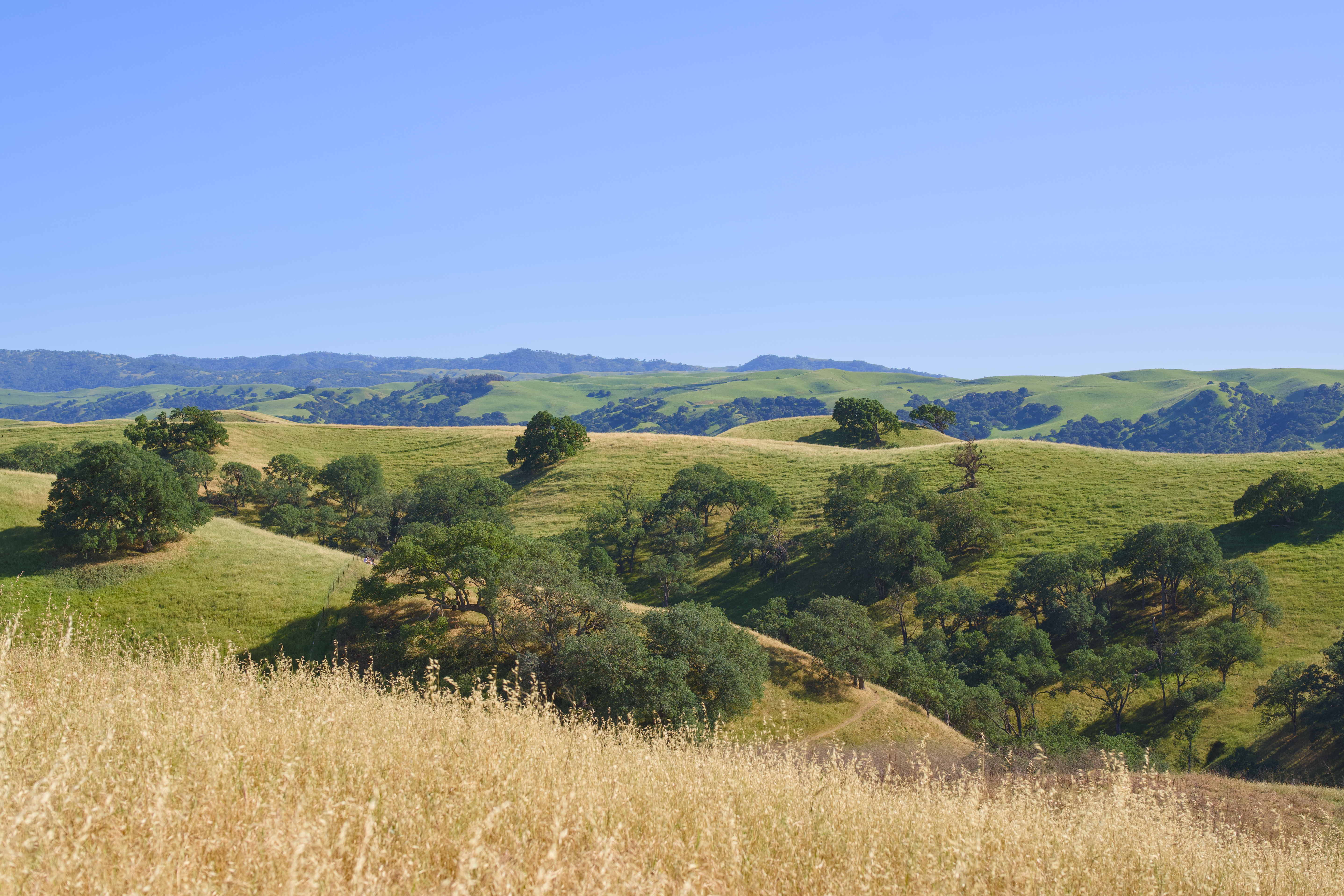 Photo by spencer_demera