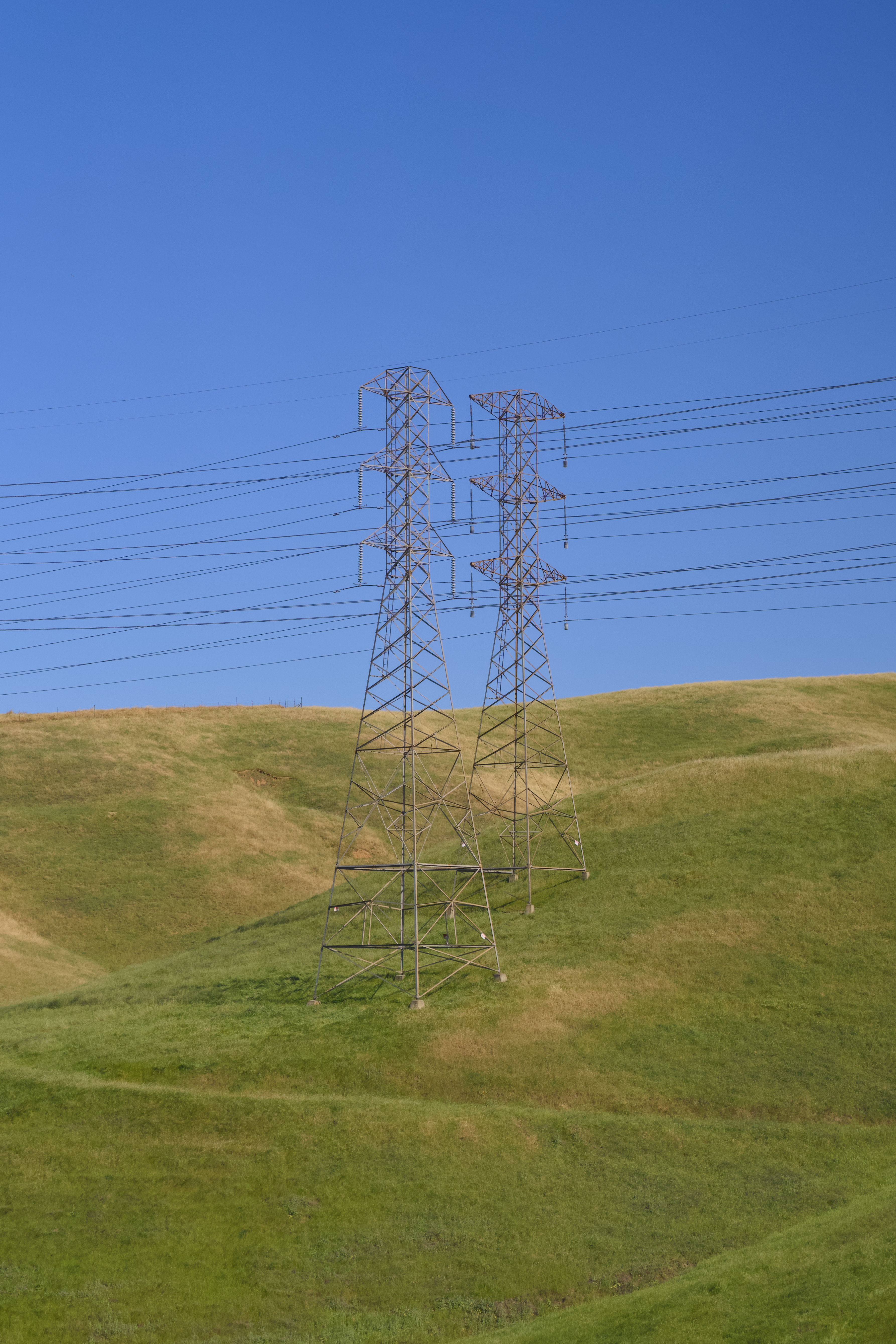 Two tall power lines stand on a grassy hill.