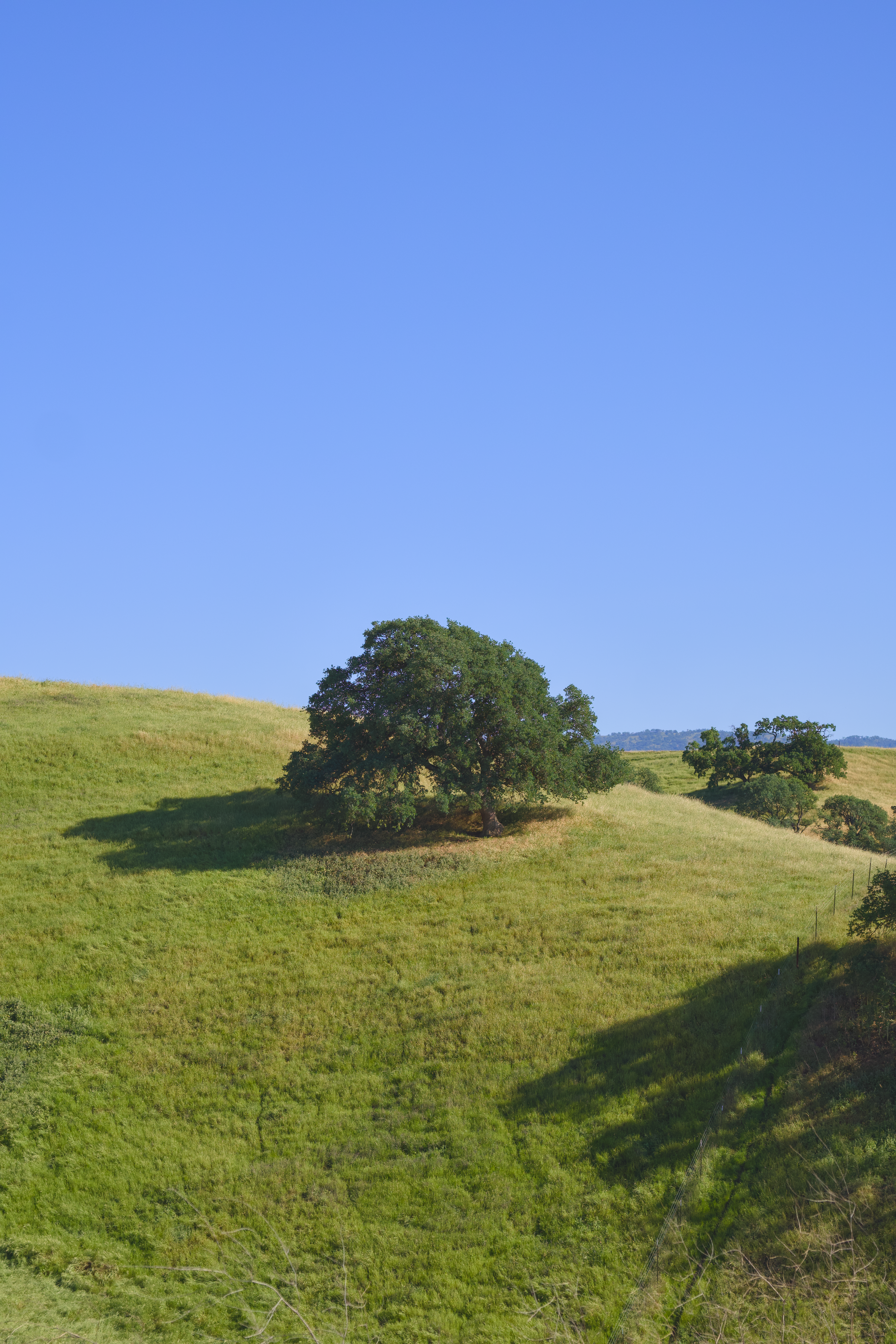 Photo by spencer_demera