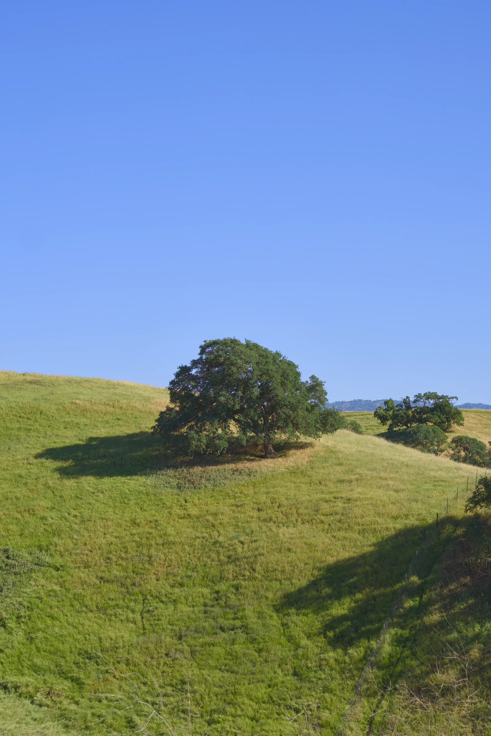Alta Sierra vs. Auburn: Which Sierra Foothills Lifestyle Fits You