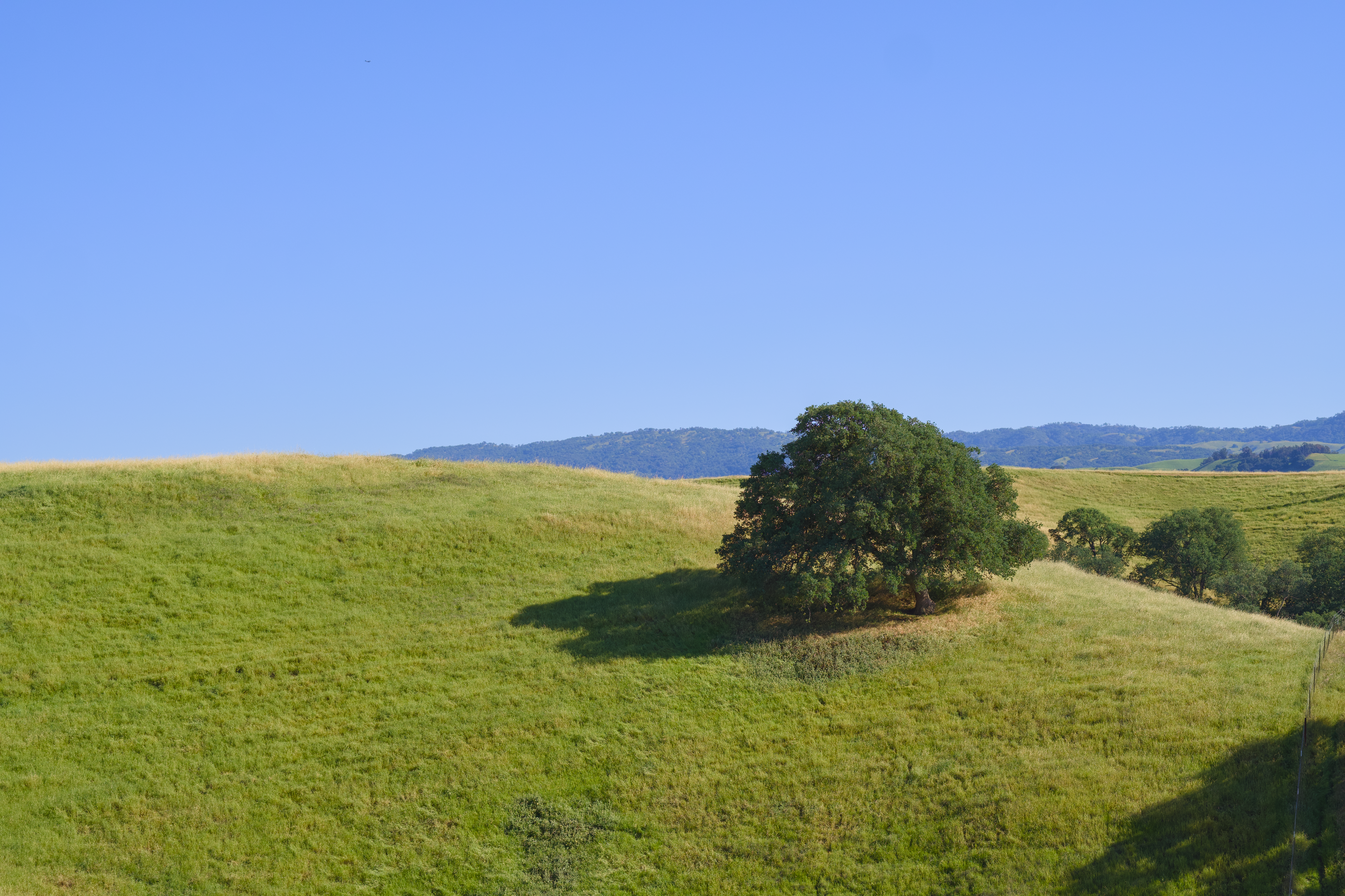 Photo by spencer_demera