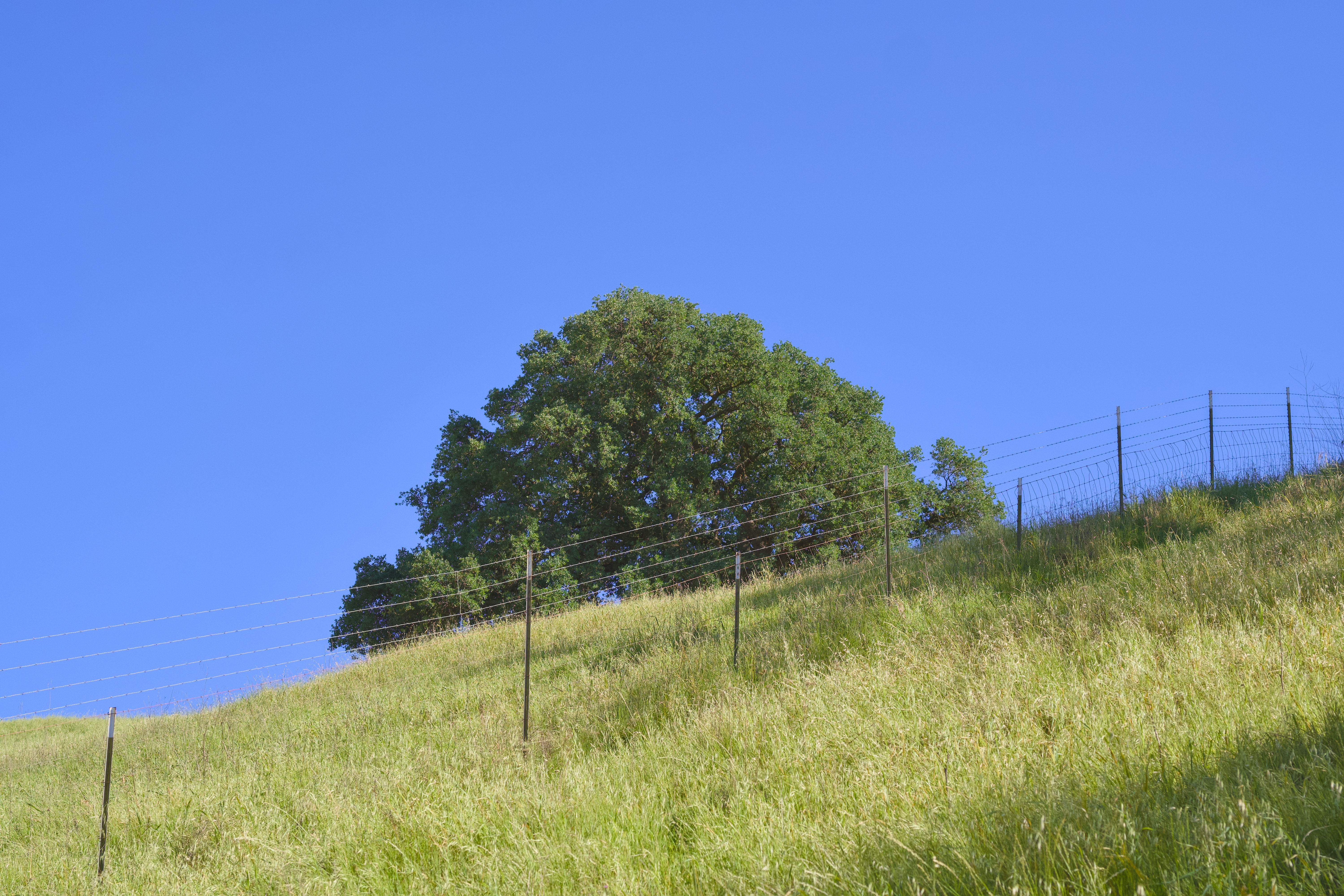 Photo by spencer_demera