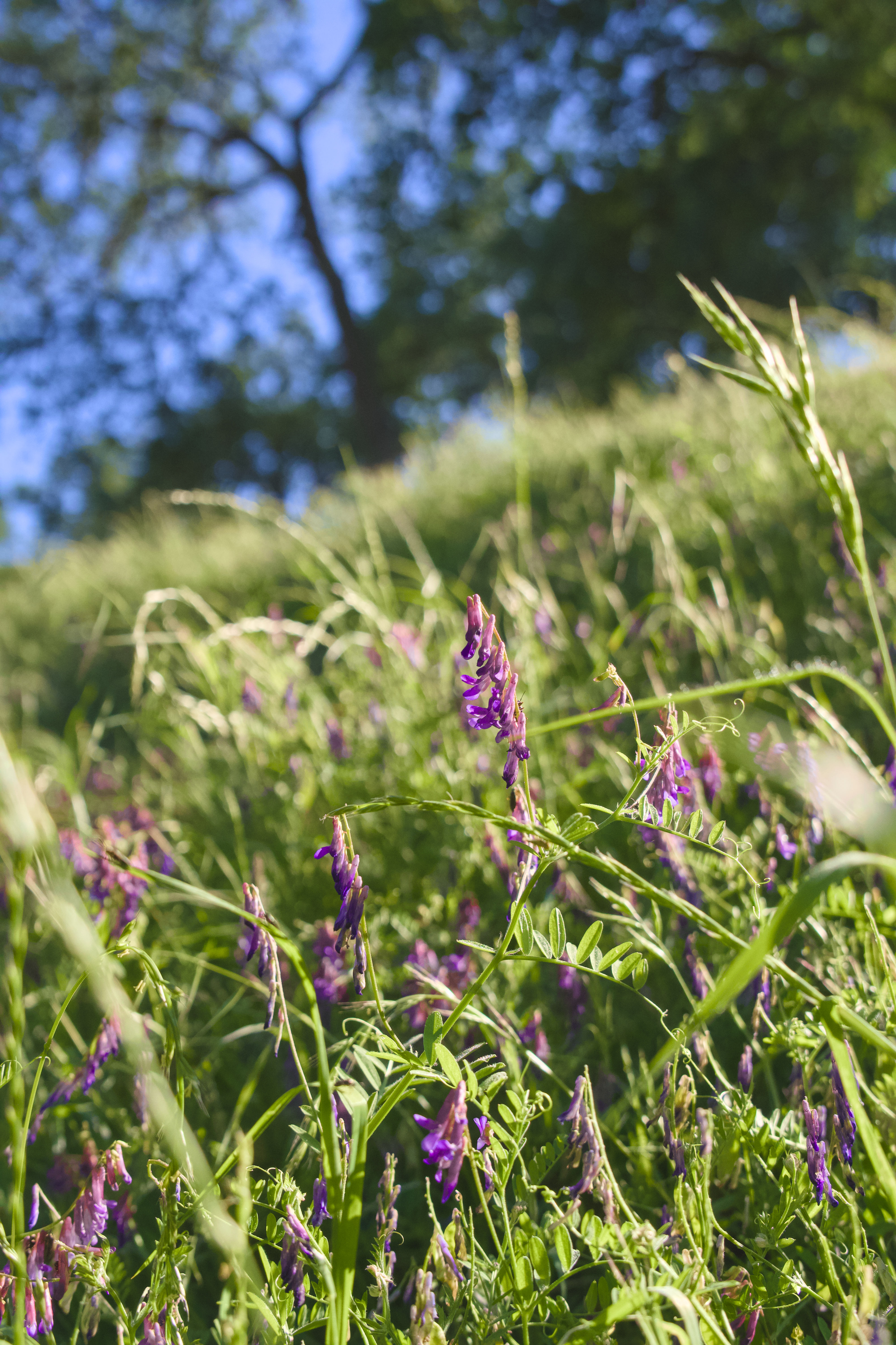 Photo by spencer_demera