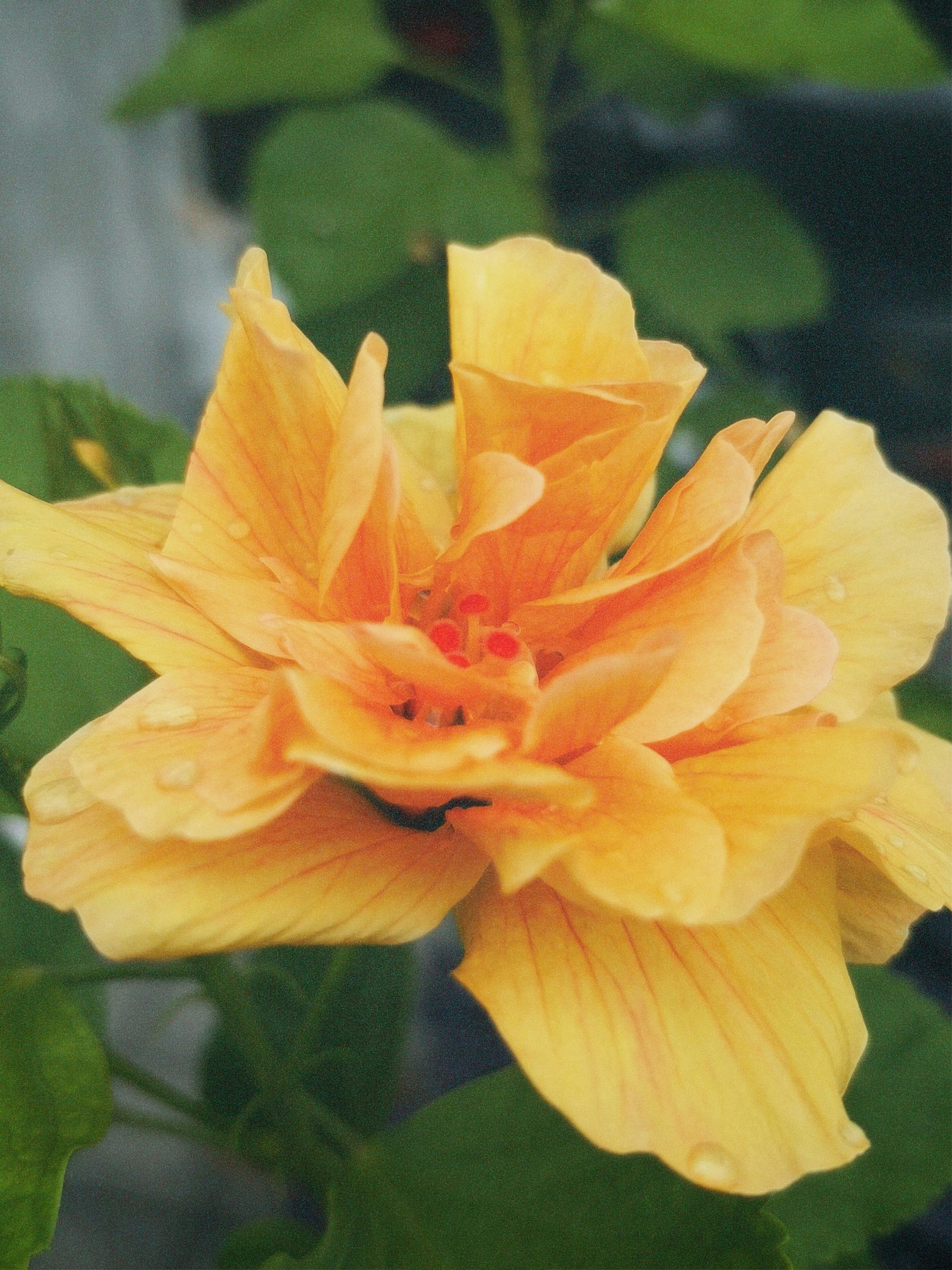 Photo by andrianspace