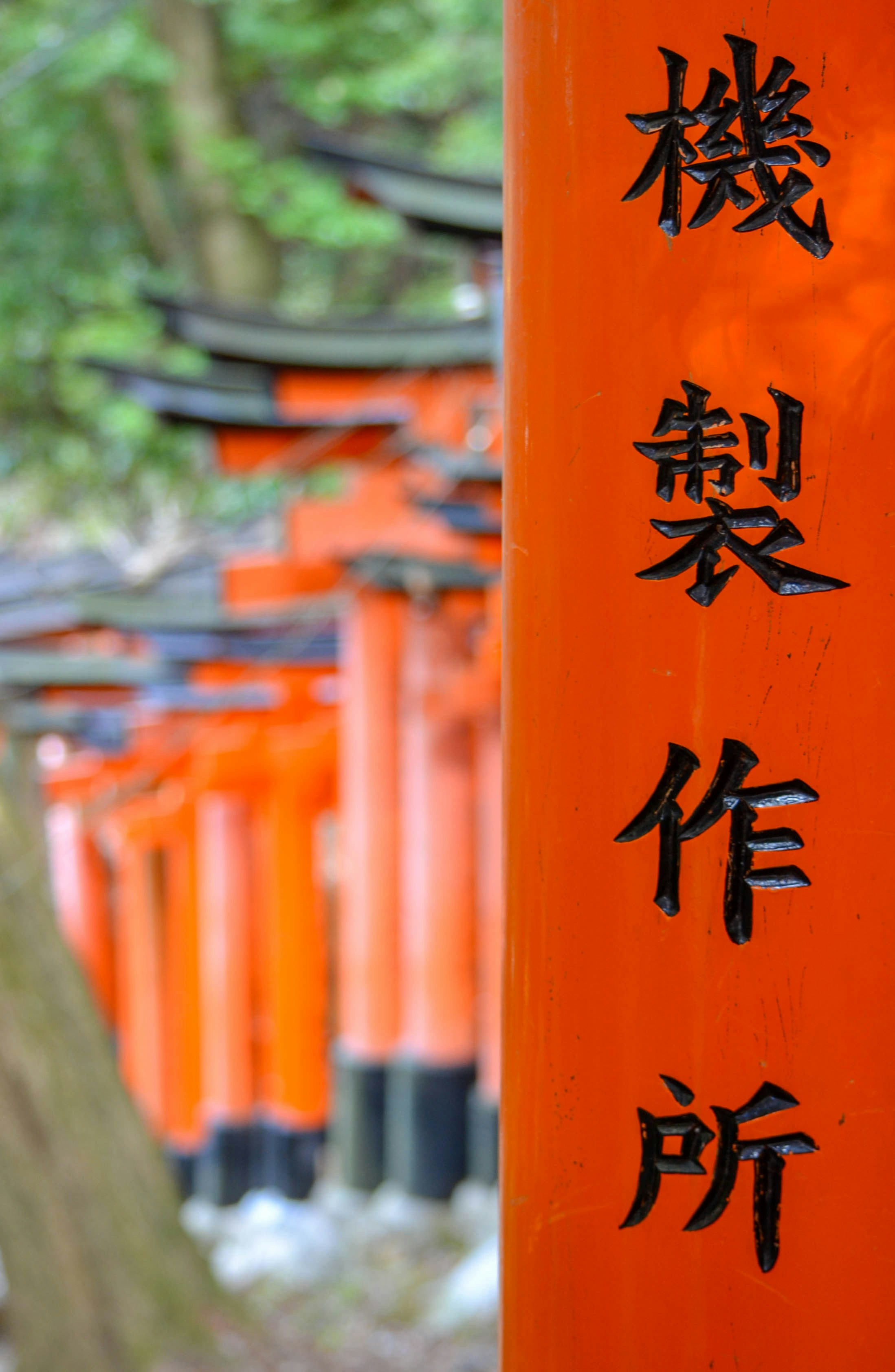 Photo by nachoestevo