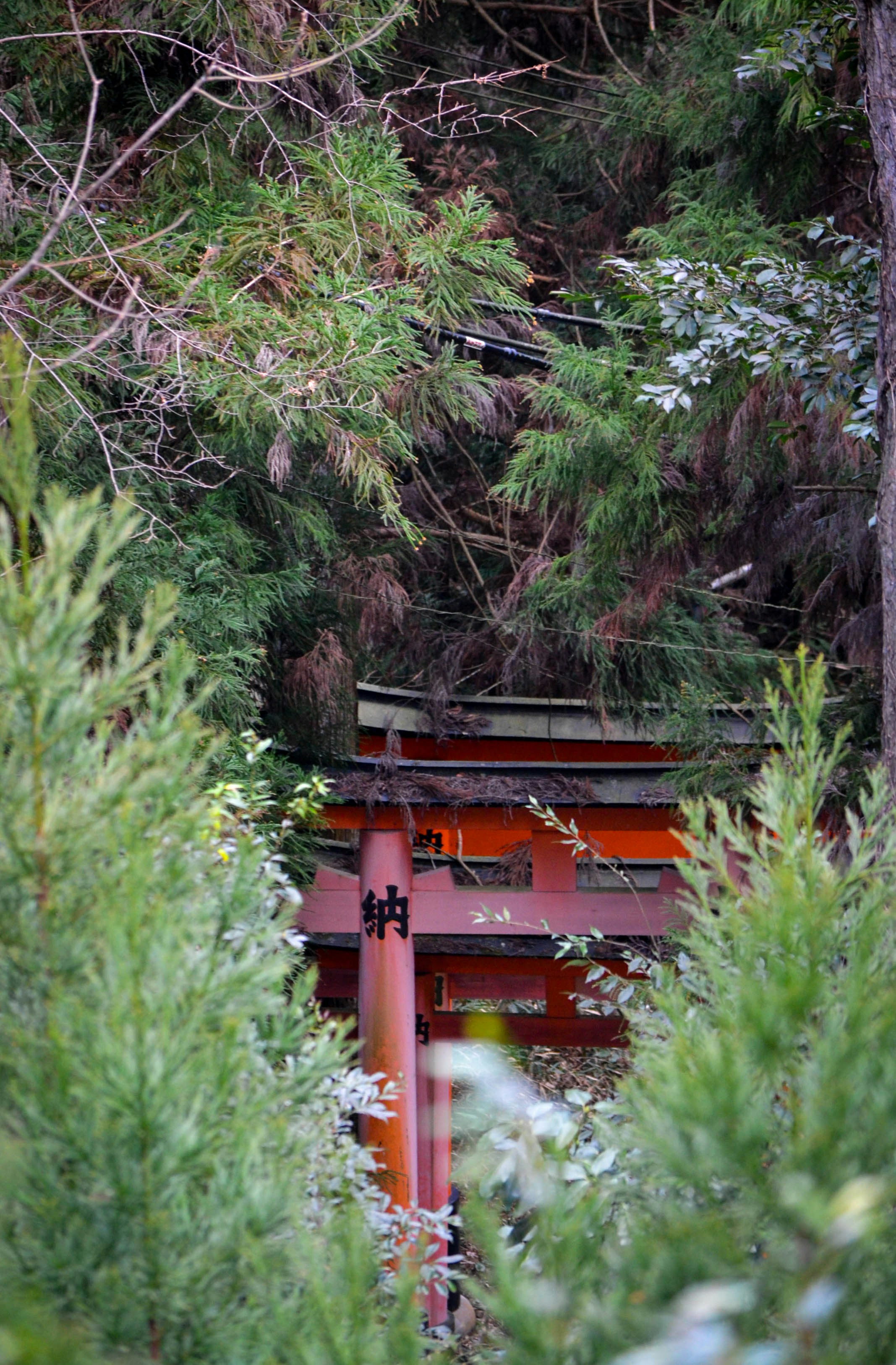 Photo by nachoestevo