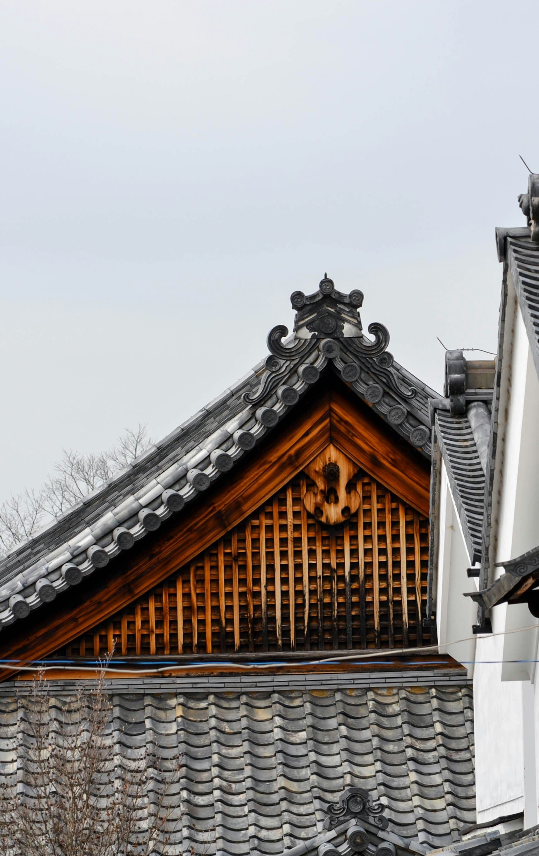 Photo by nachoestevo