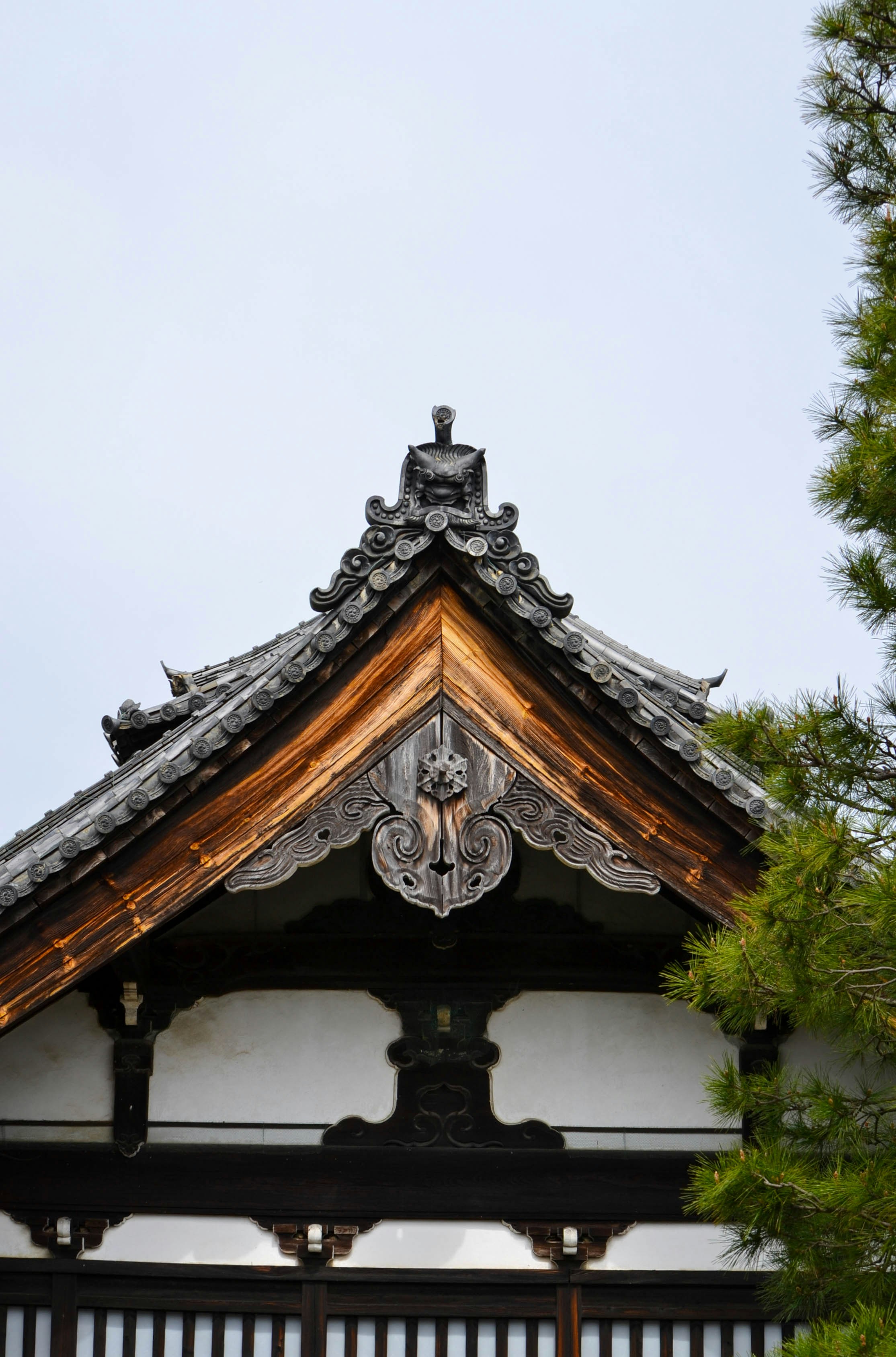 Photo by nachoestevo